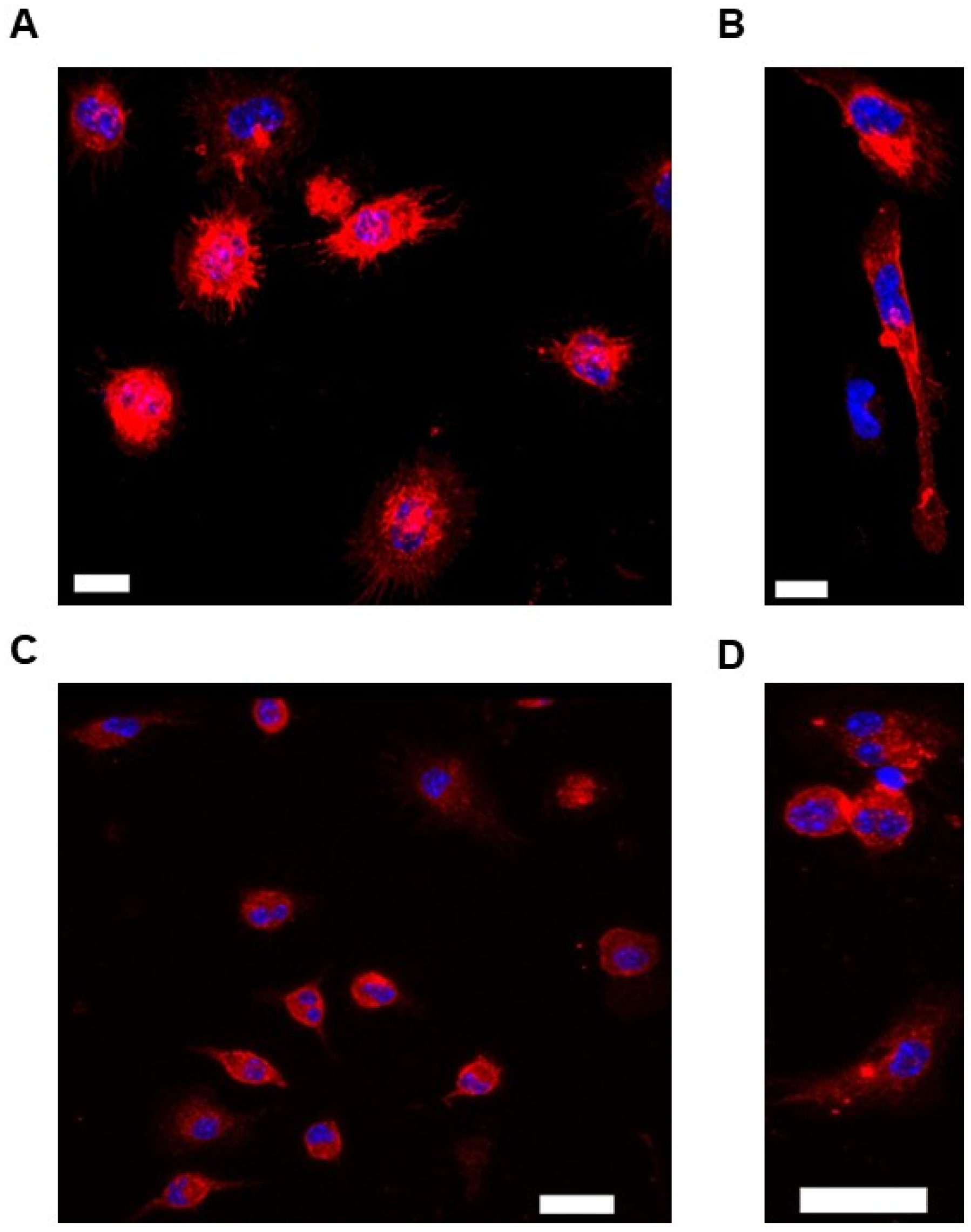 Biology 14 01073 g001 Biology 14 01073 g001