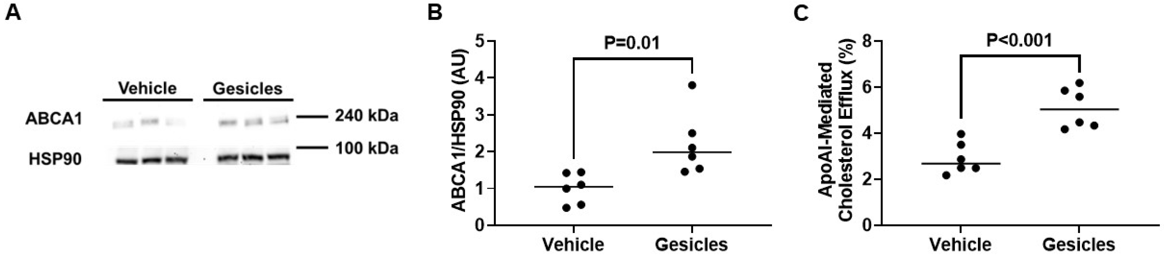 Biology 14 01073 g005 Biology 14 01073 g005
