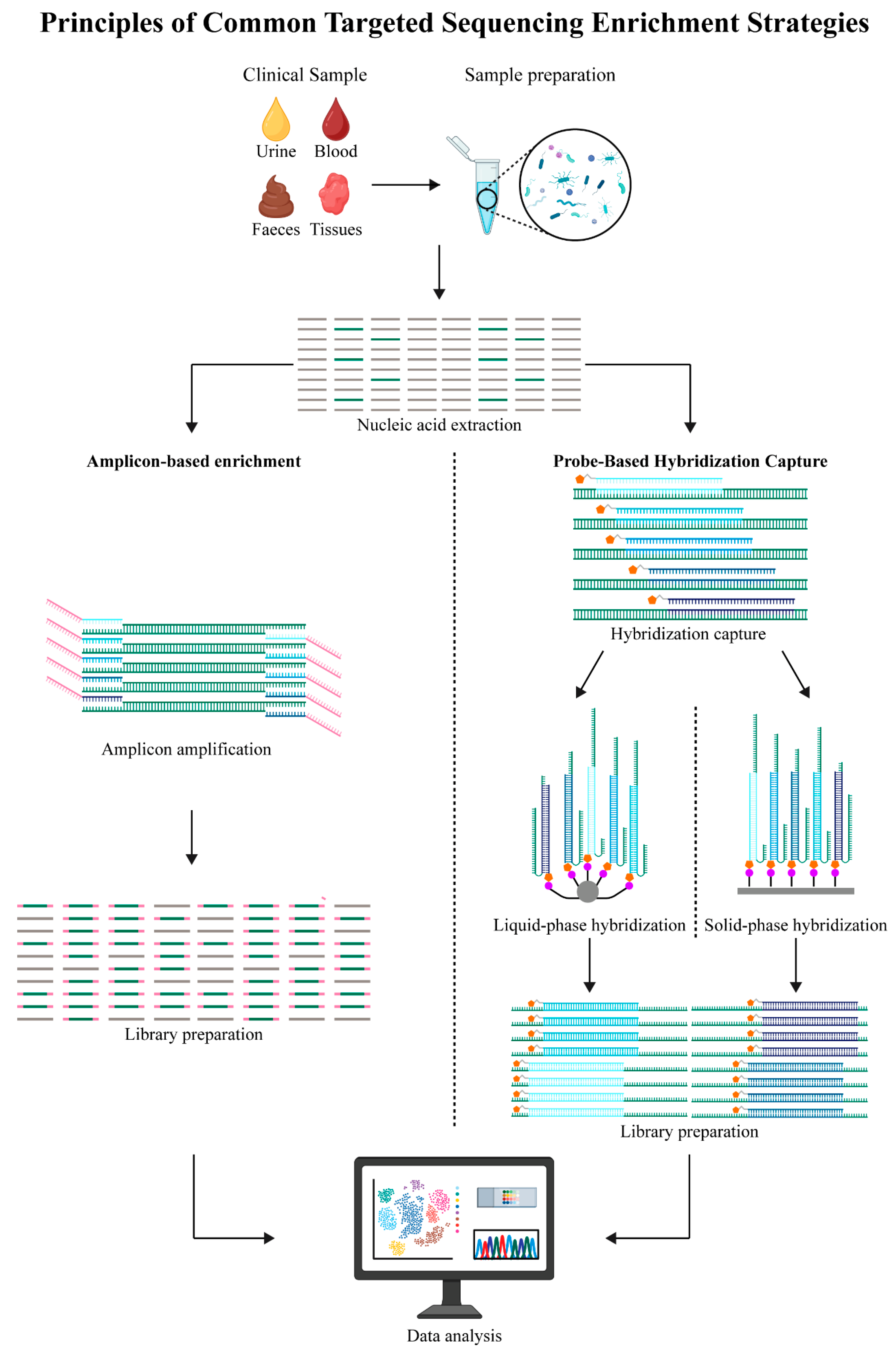 Biology 14 01075 g002 Biology 14 01075 g002