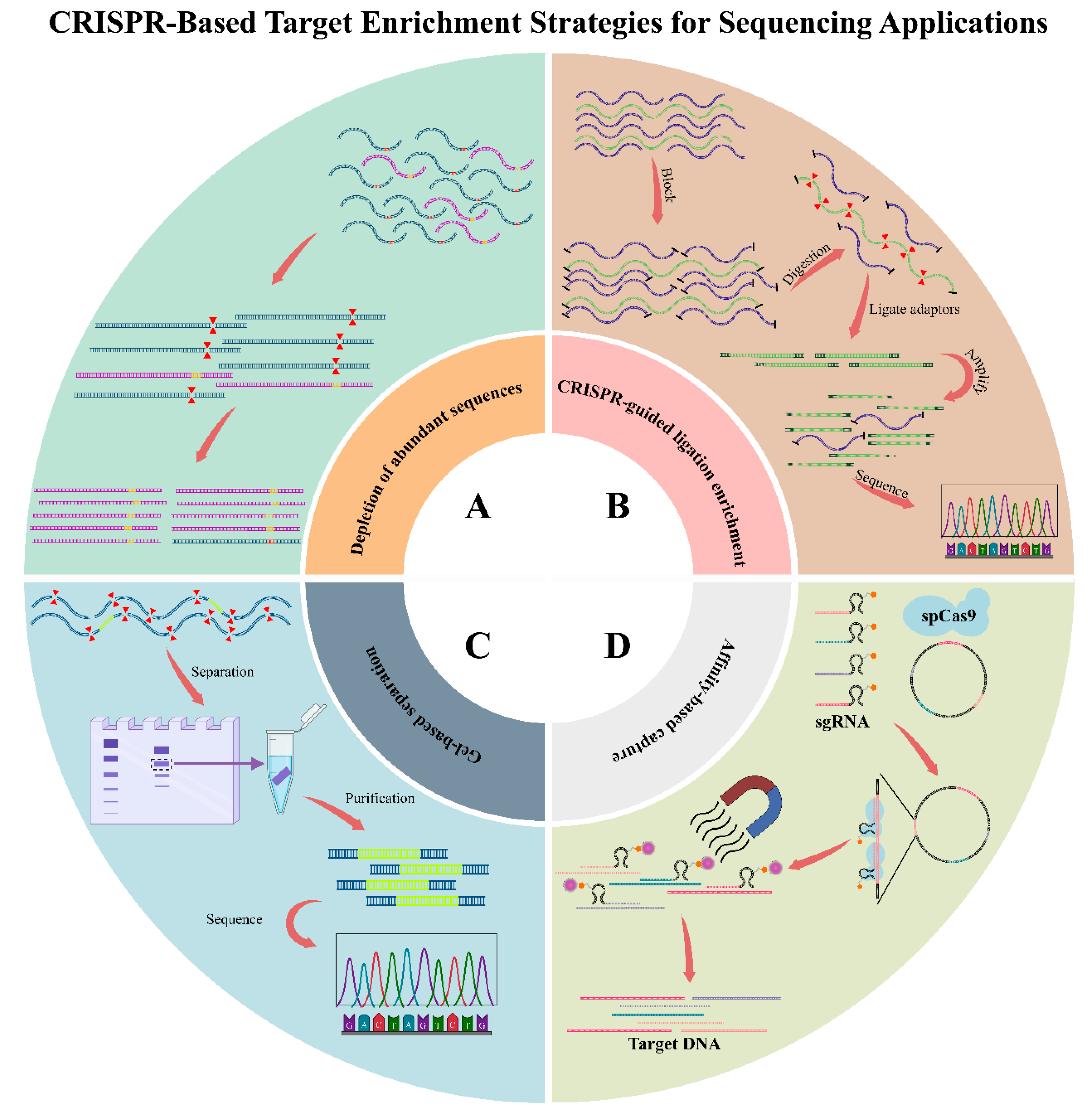 Biology 14 01075 g003 Biology 14 01075 g003