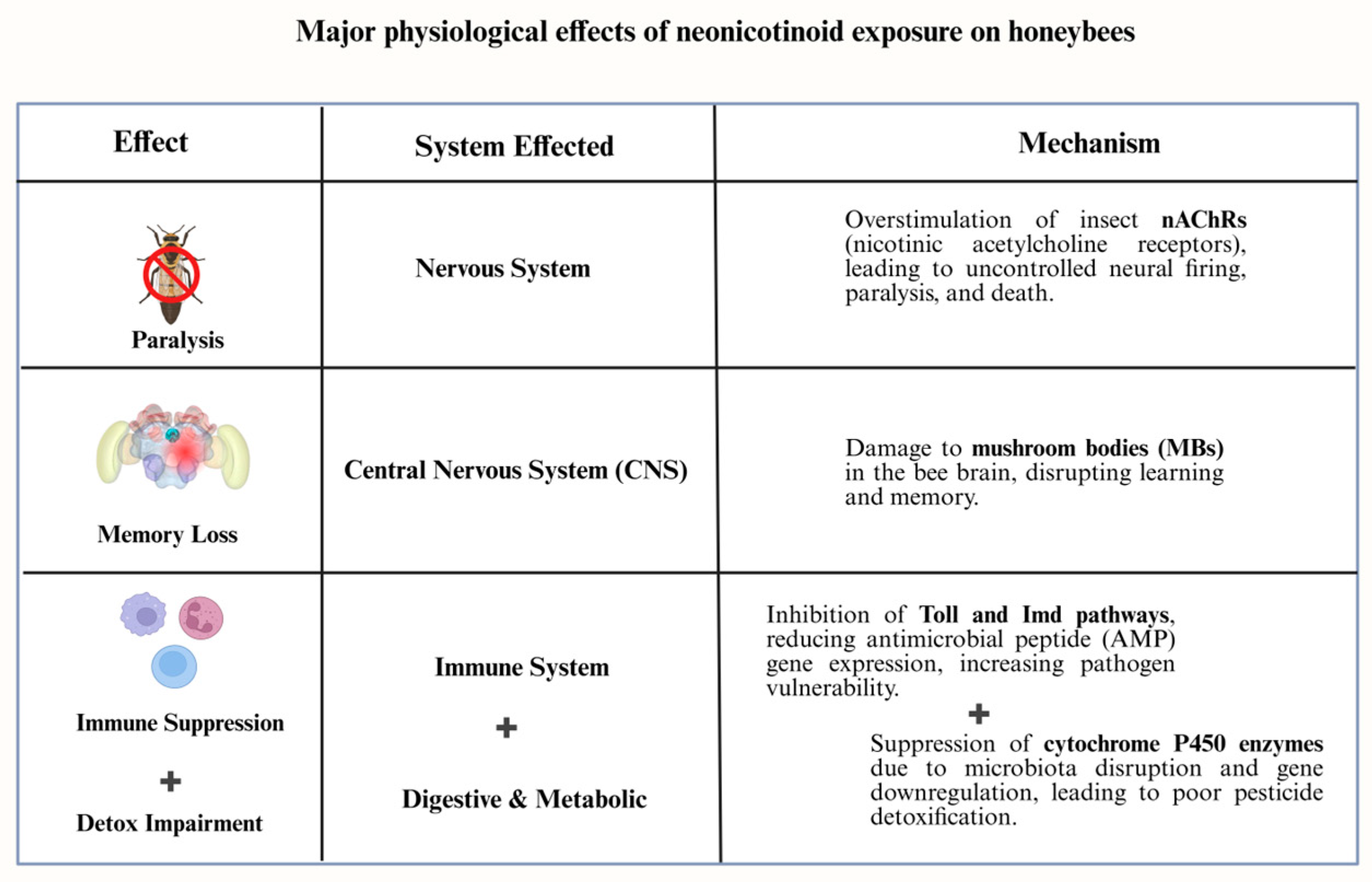 Biology 14 01076 g001 Biology 14 01076 g001
