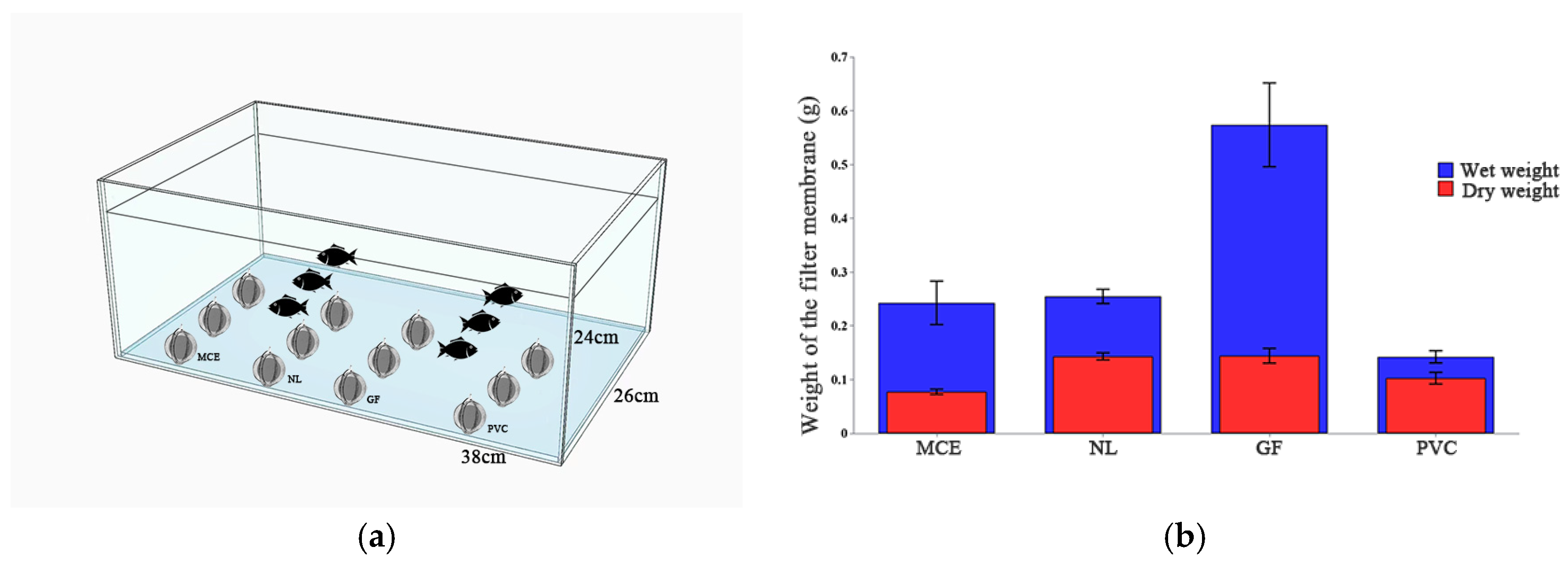 Biology 14 01080 g001 Biology 14 01080 g001