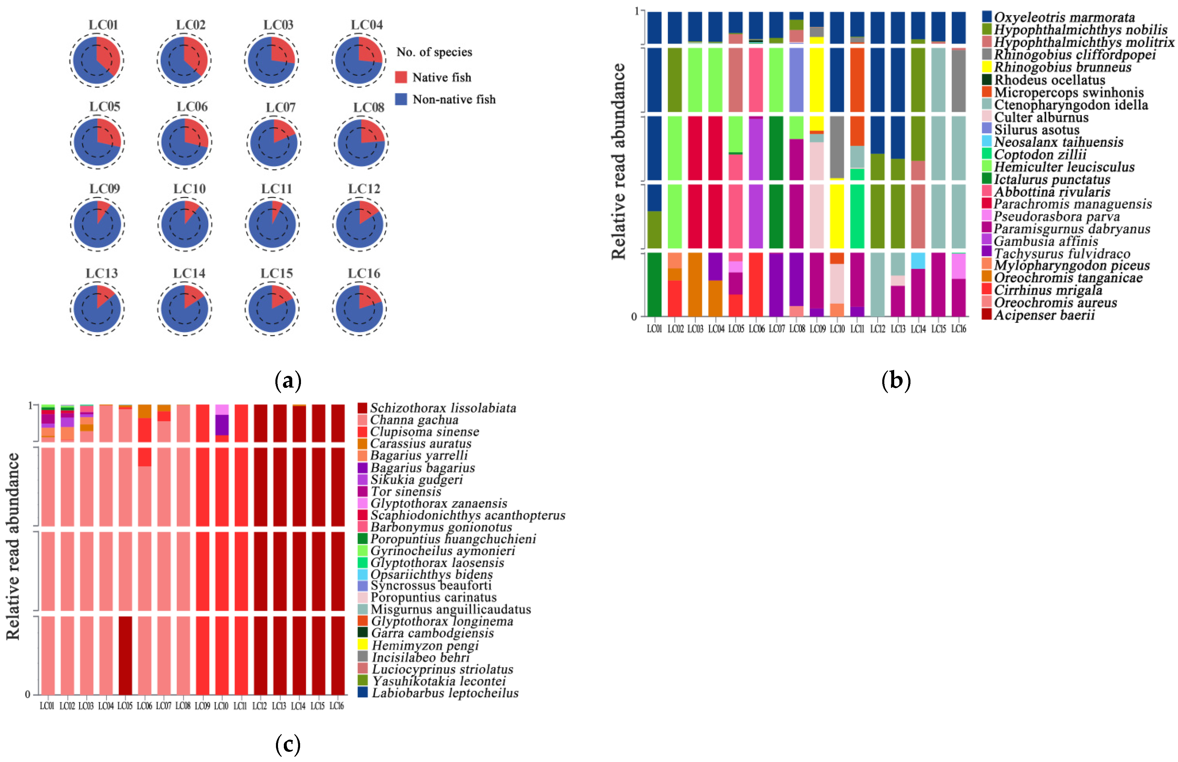 Biology 14 01080 g006 Biology 14 01080 g006