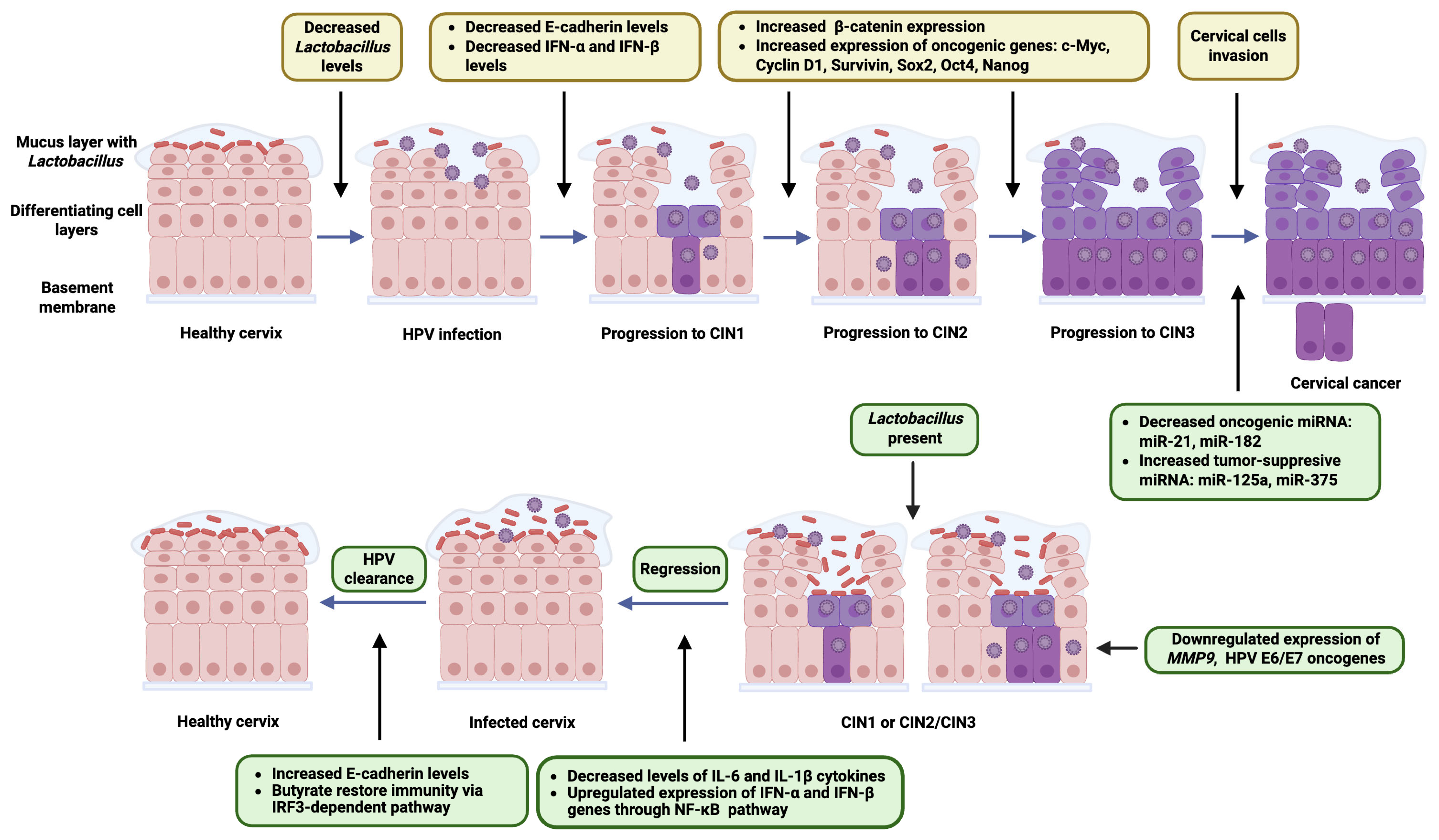 Biology 14 01081 g002 Biology 14 01081 g002
