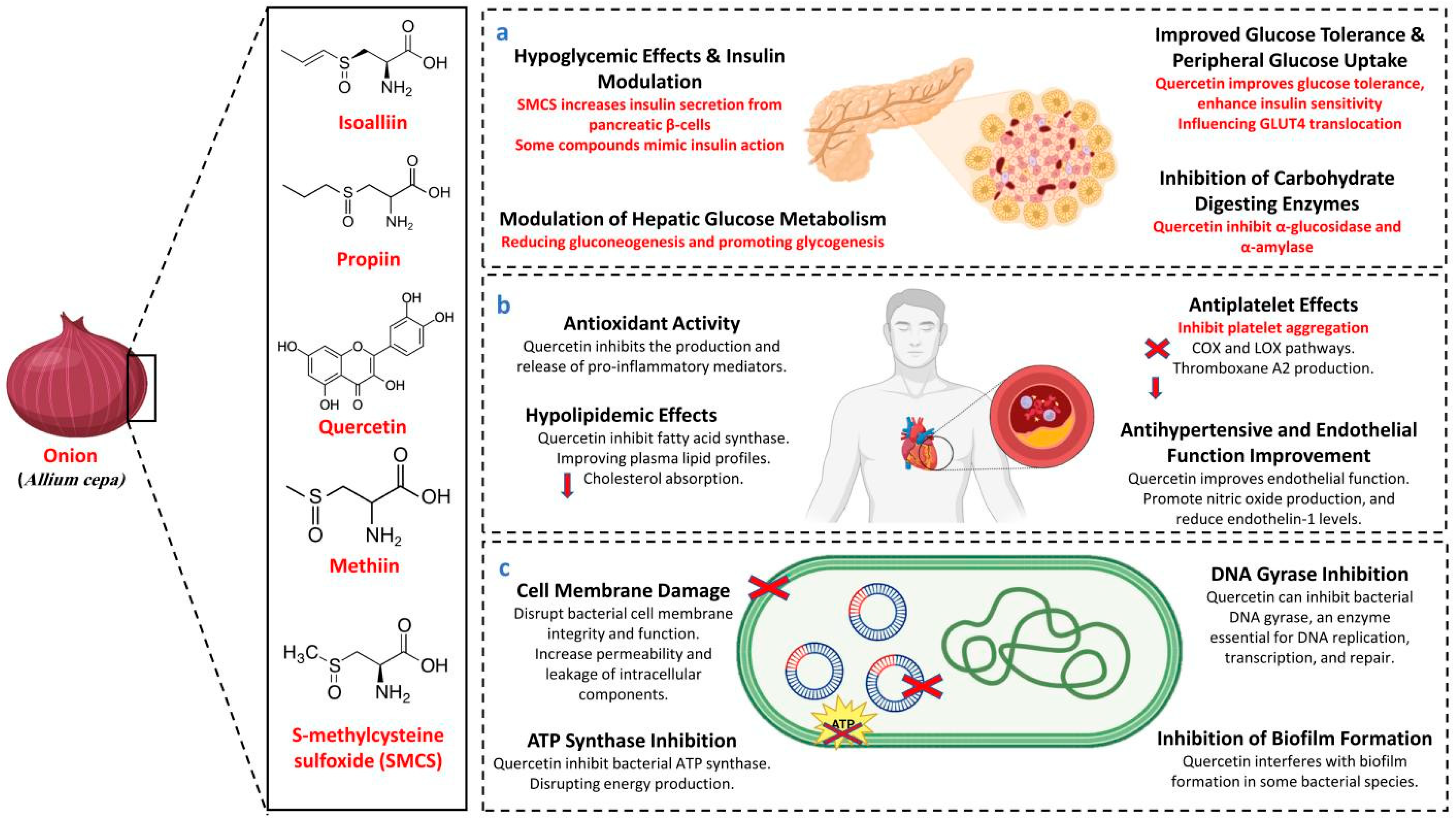 Biology 14 01088 g001 Biology 14 01088 g001