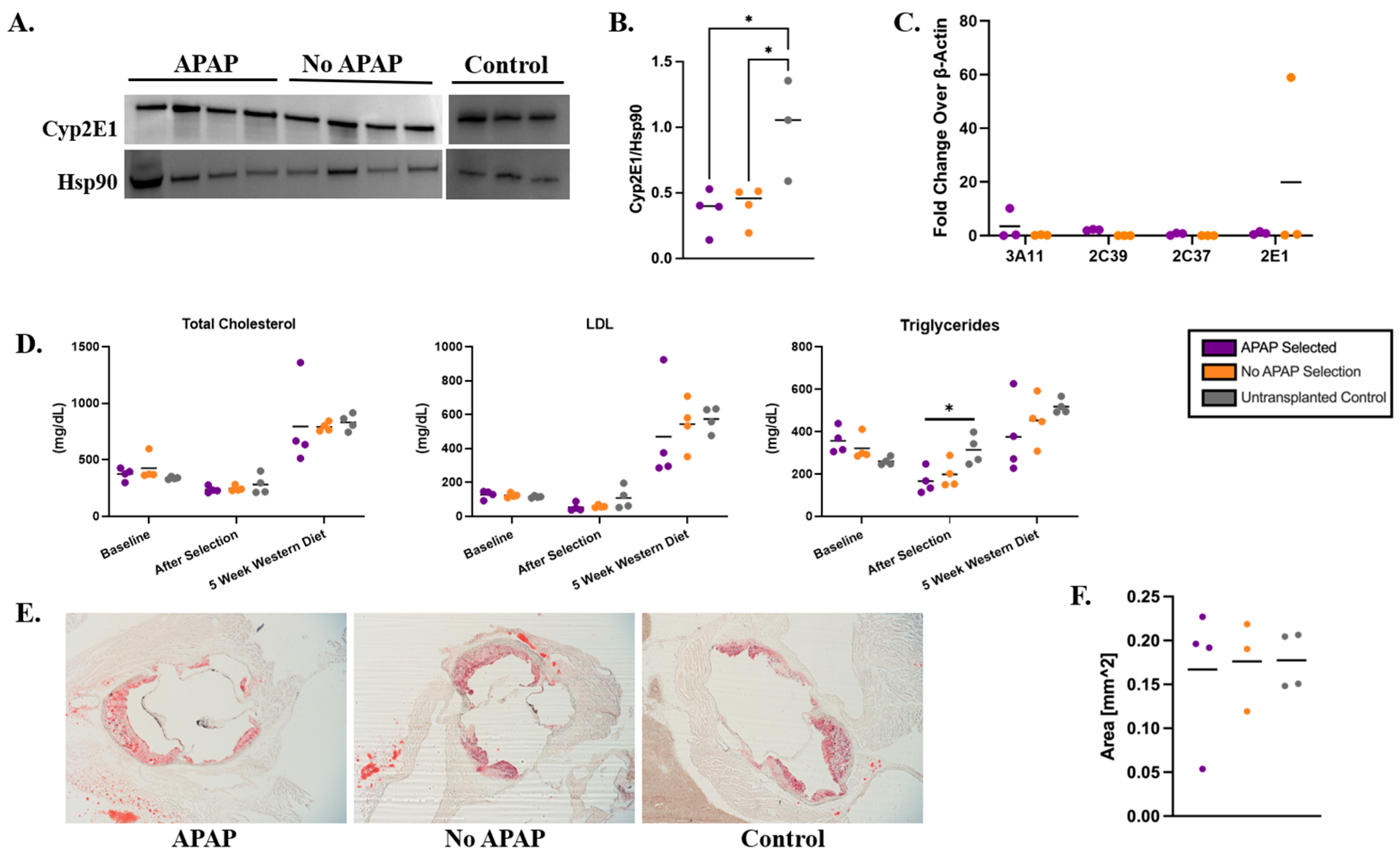 Biology 14 01091 g004 Biology 14 01091 g004