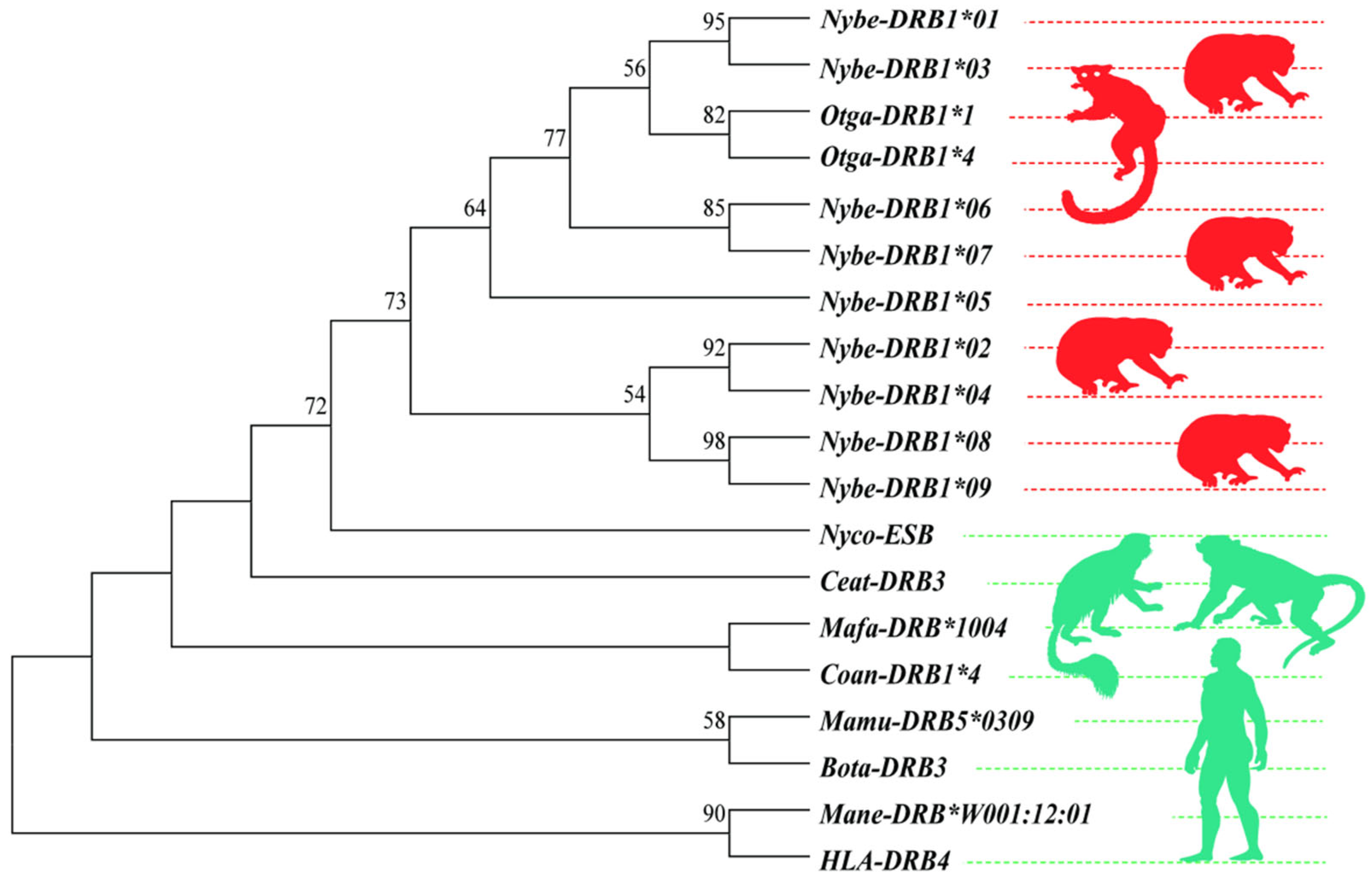 Biology 14 01094 g001 Biology 14 01094 g001