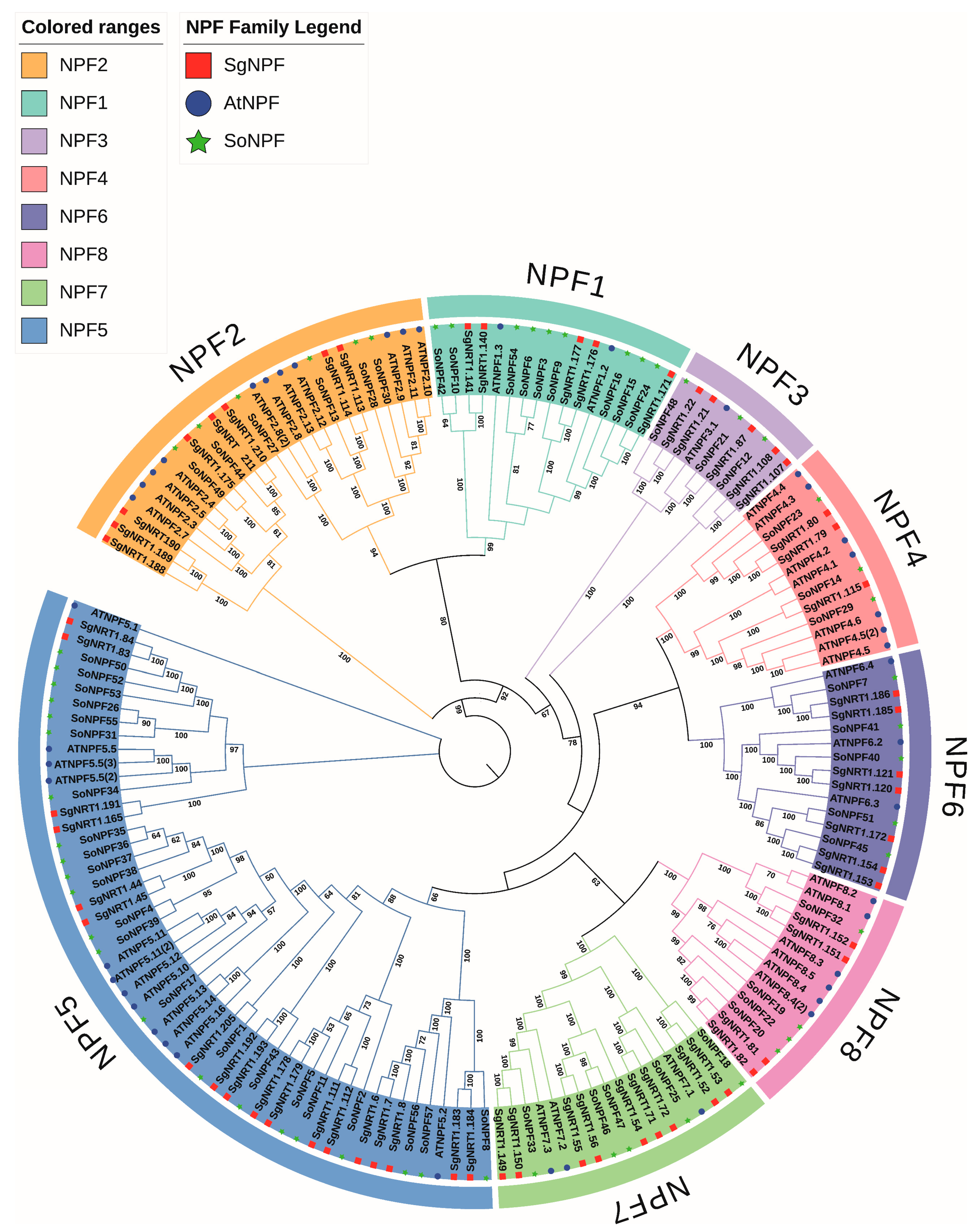 Biology 14 01097 g002