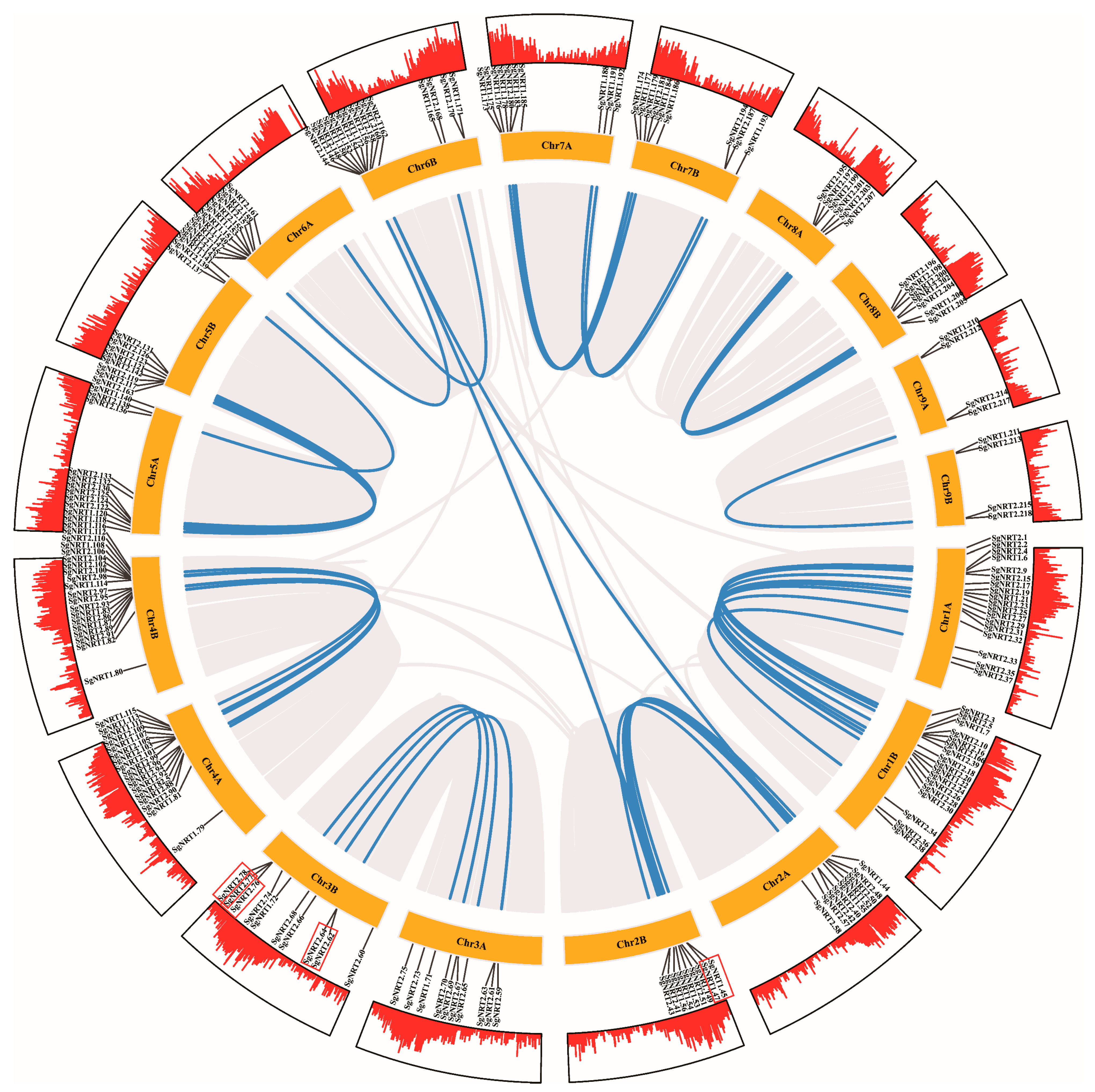 Biology 14 01097 g005