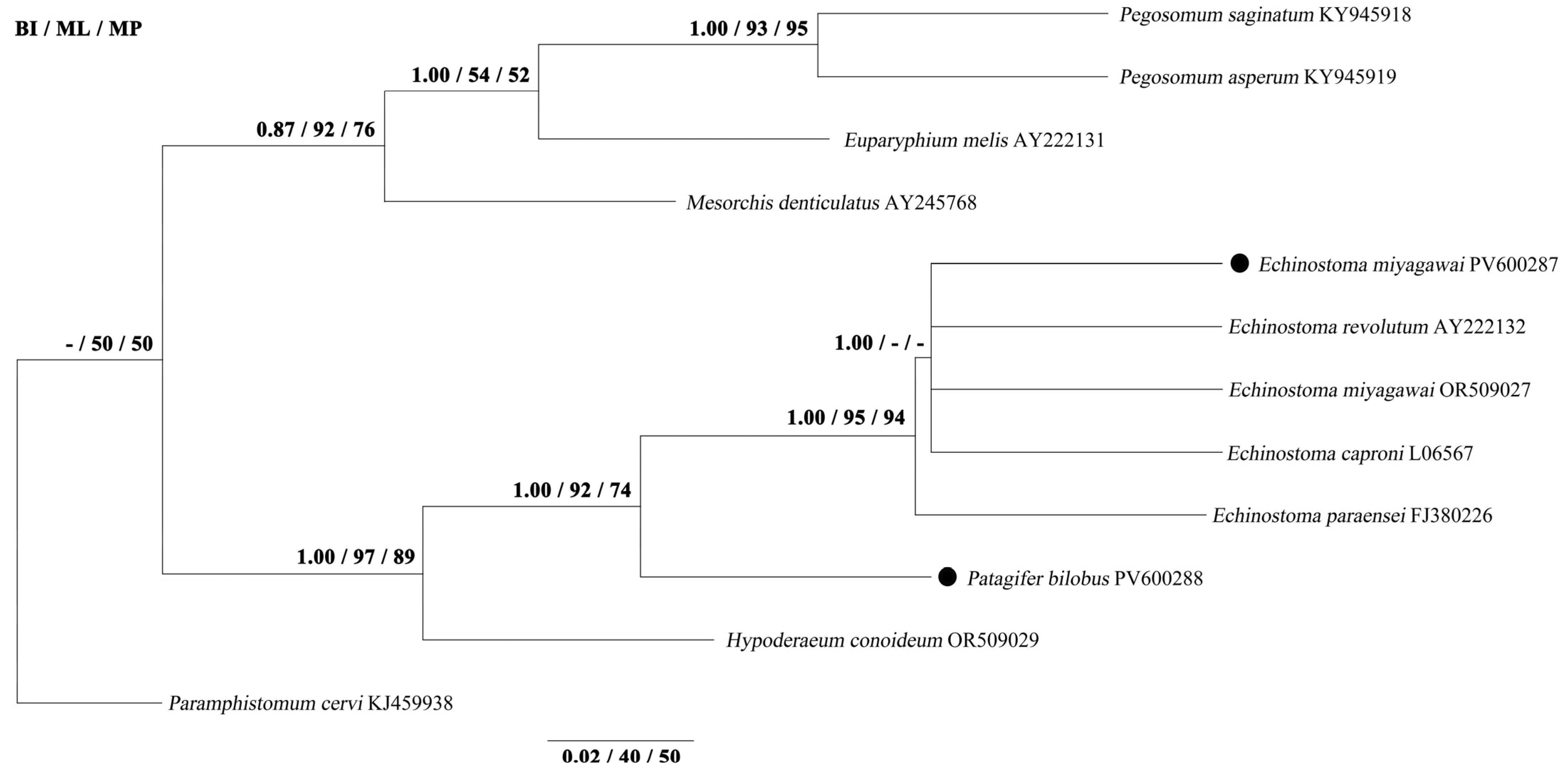 Biology 14 01101 g001
