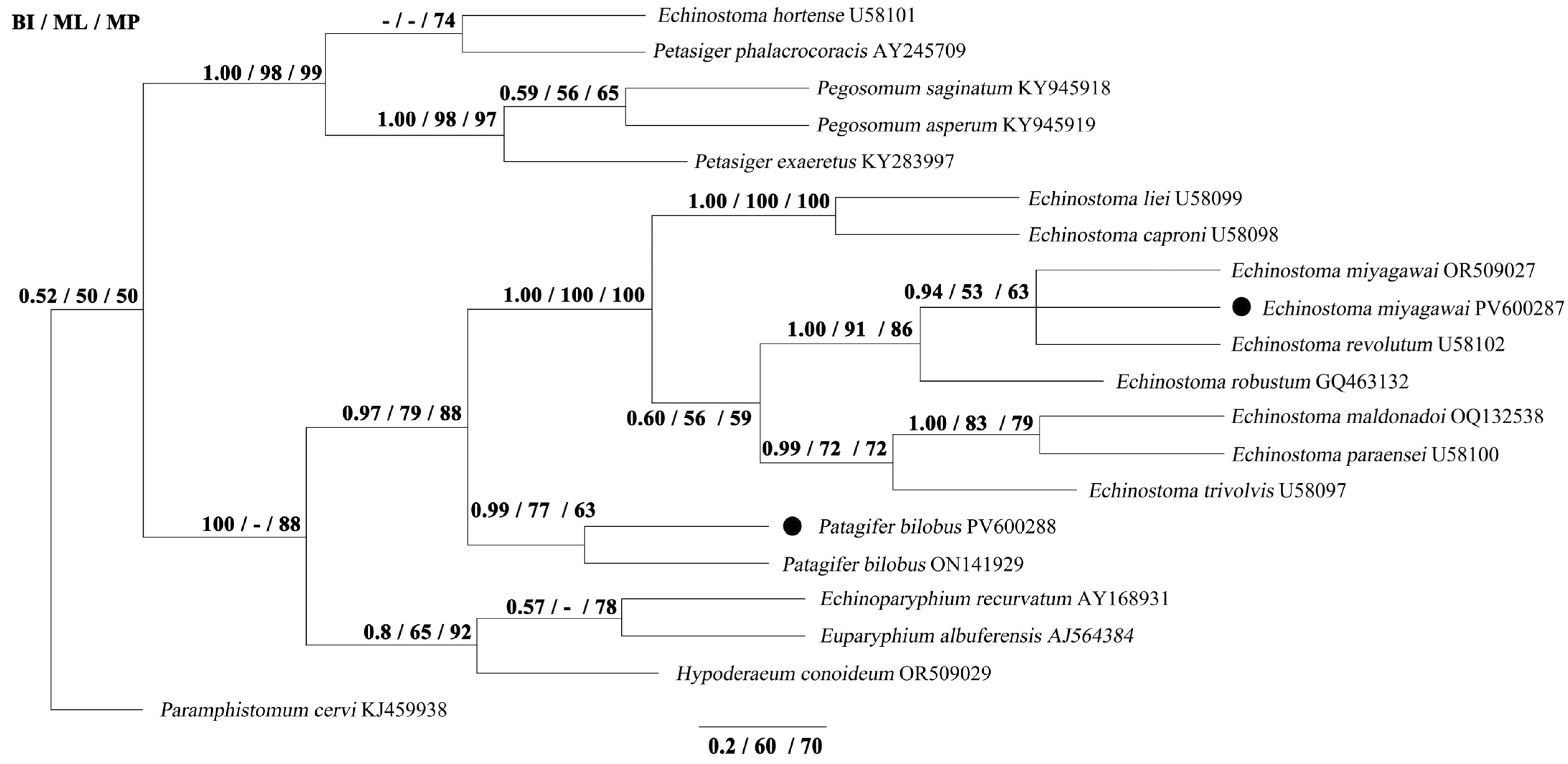 Biology 14 01101 g002