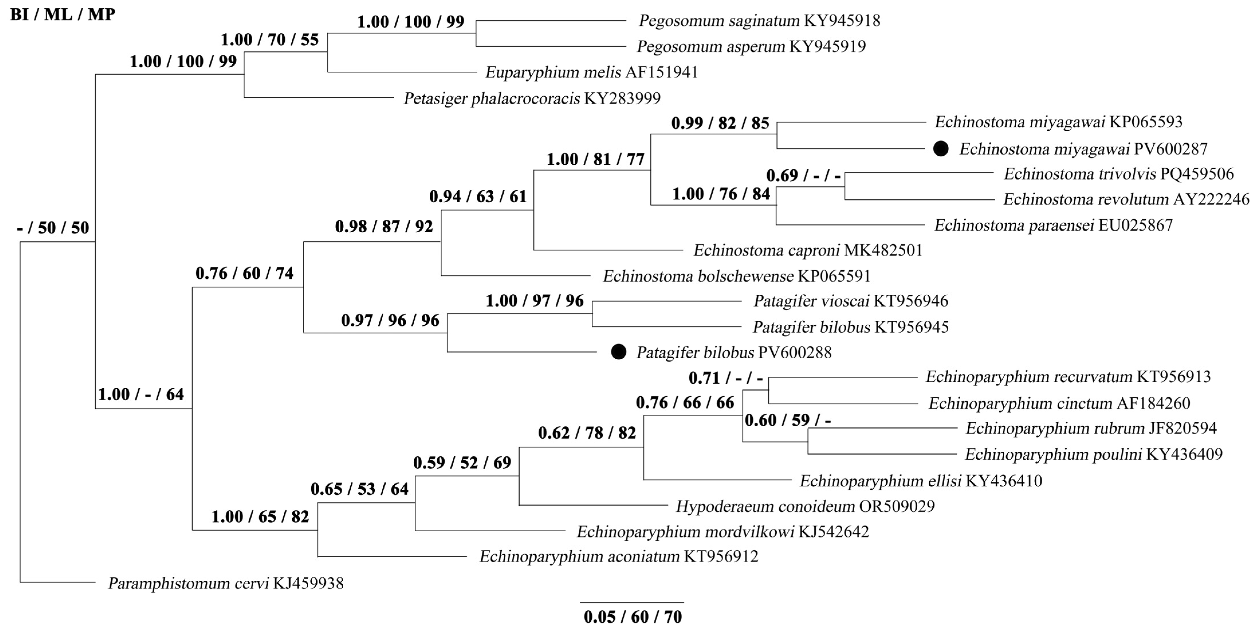 Biology 14 01101 g003