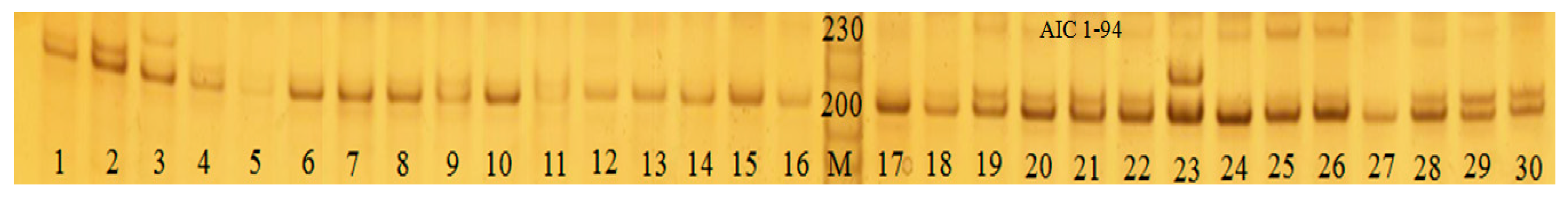 Biology 14 01103 g001