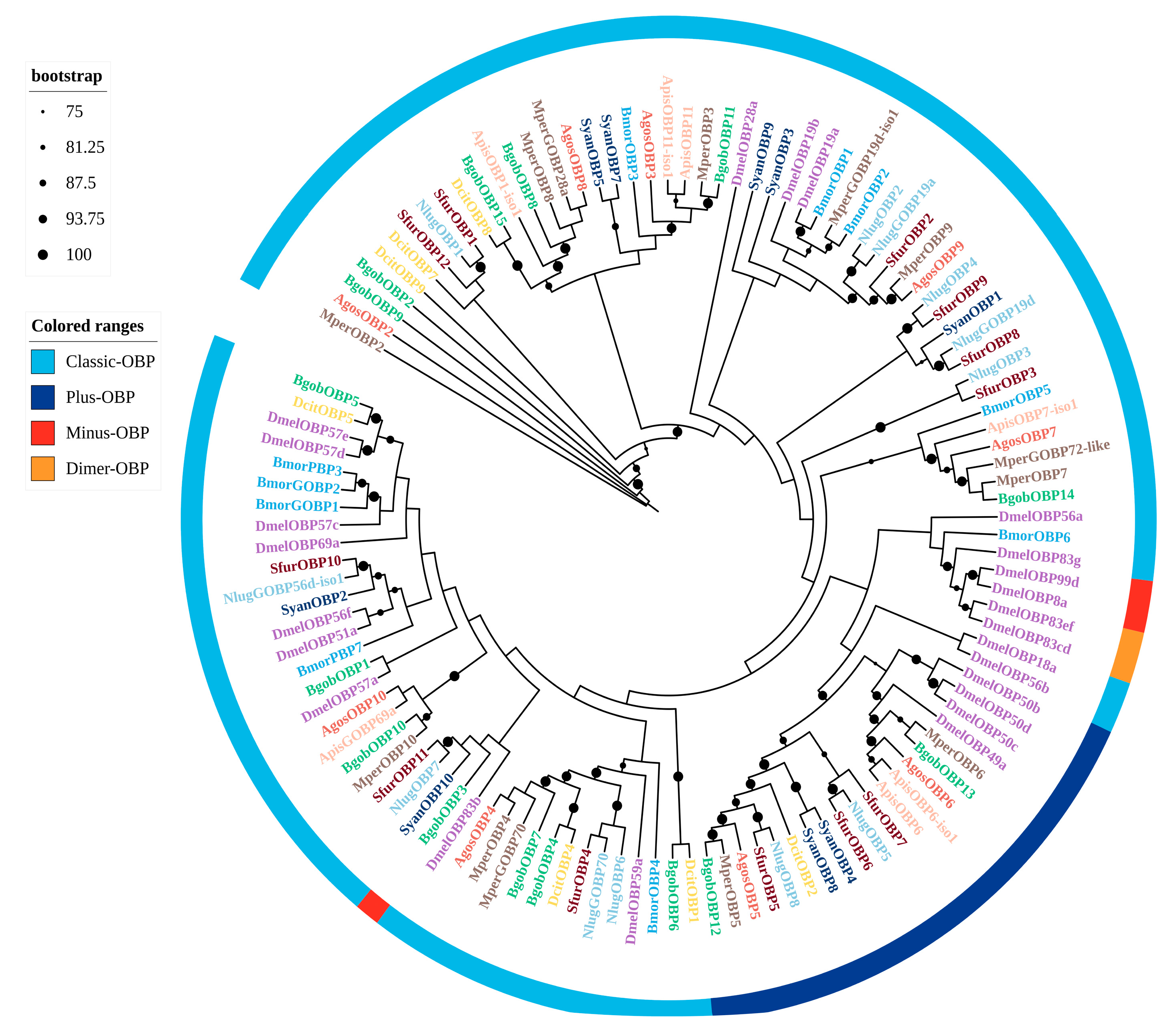 Biology 14 01105 g001 Biology 14 01105 g001