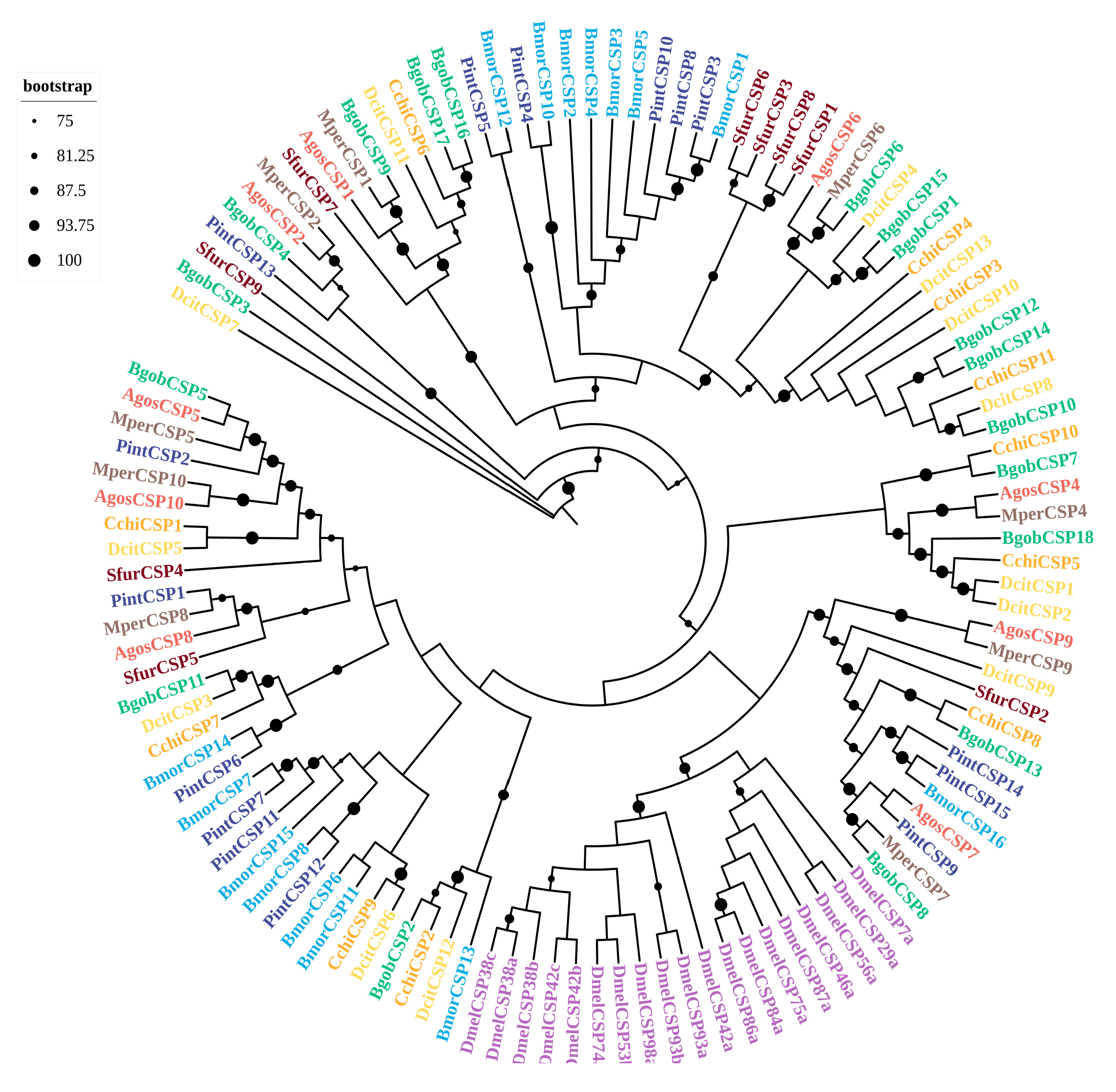 Biology 14 01105 g002 Biology 14 01105 g002
