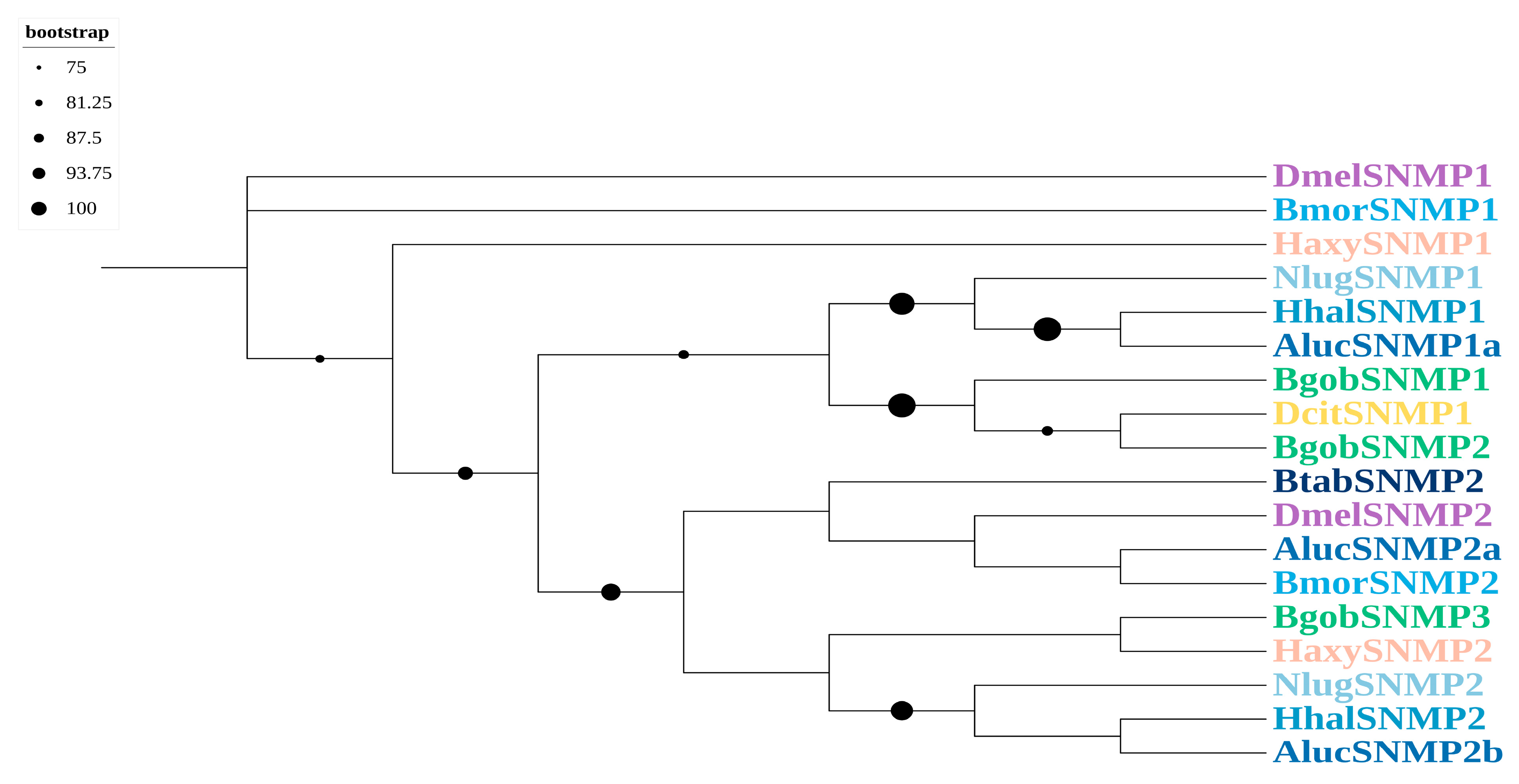 Biology 14 01105 g003 Biology 14 01105 g003