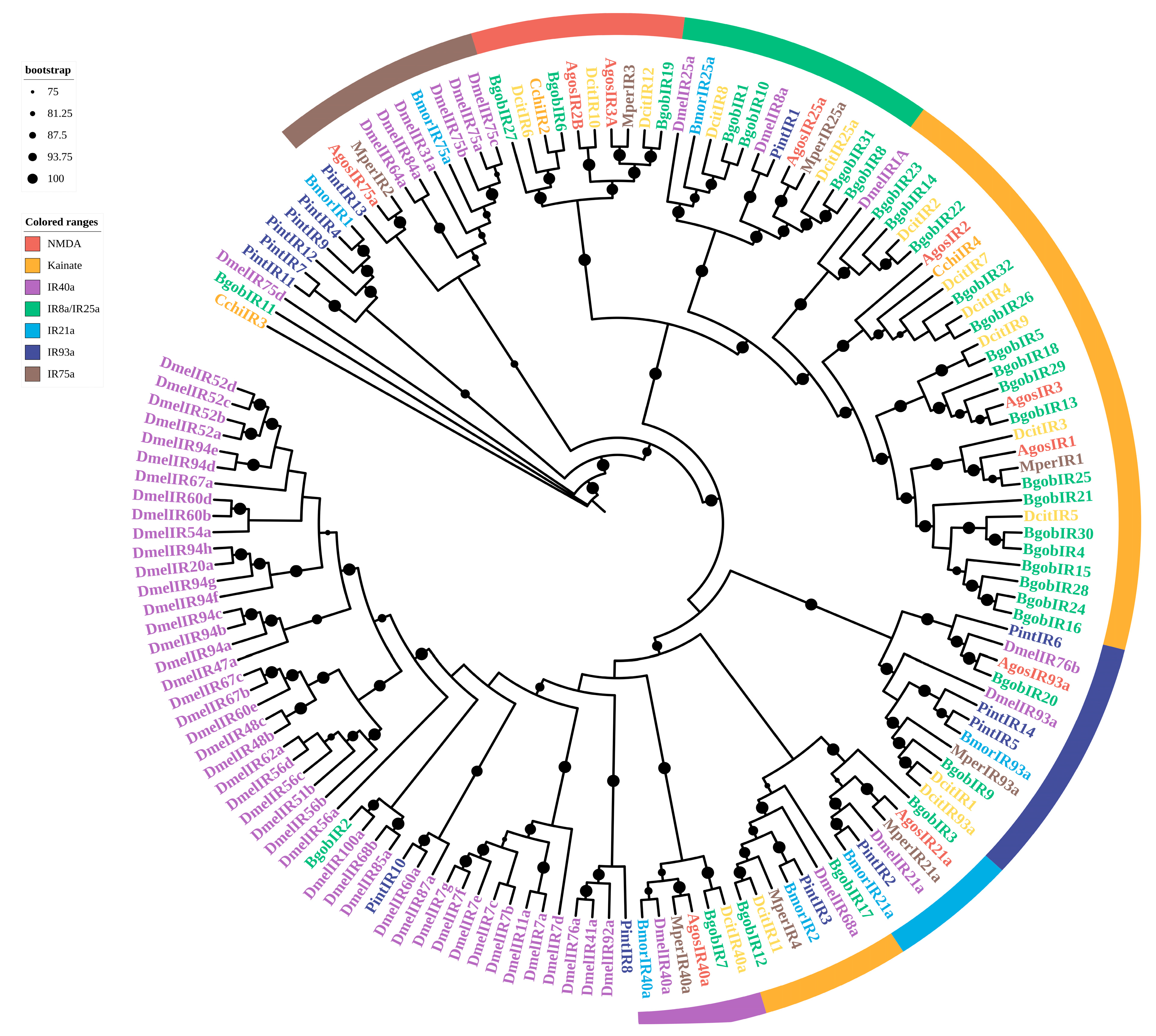 Biology 14 01105 g006 Biology 14 01105 g006