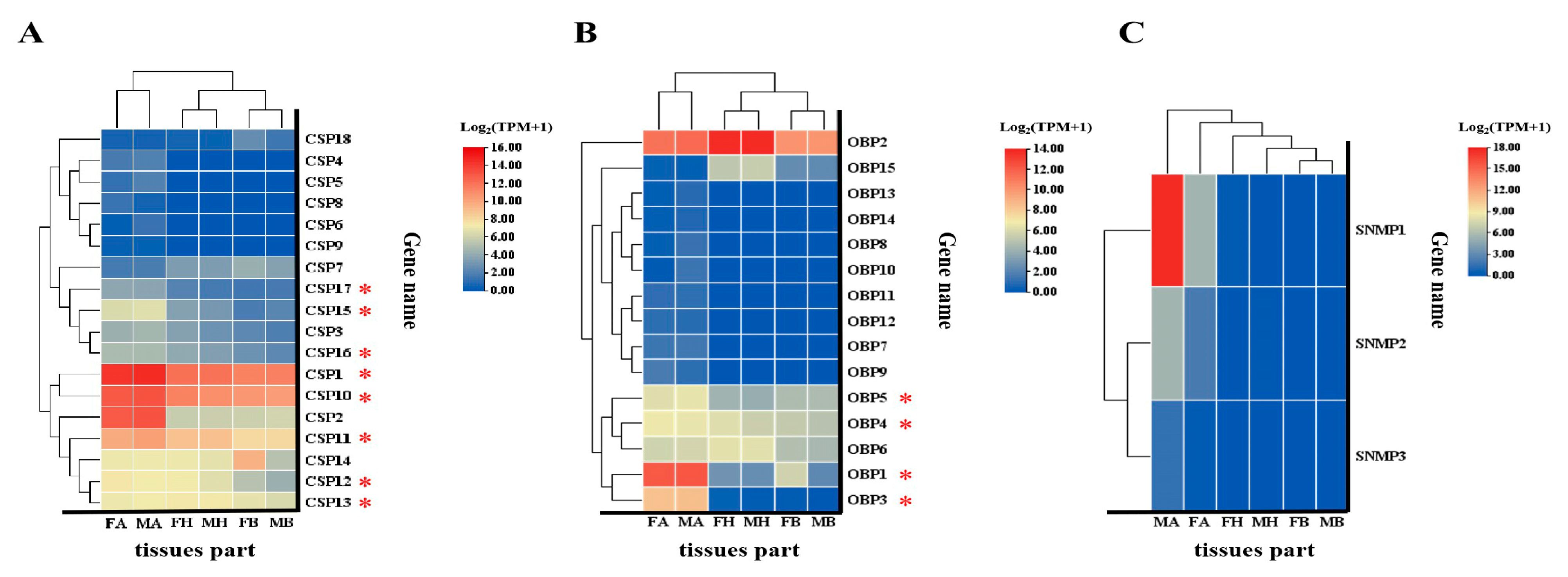 Biology 14 01105 g007 Biology 14 01105 g007
