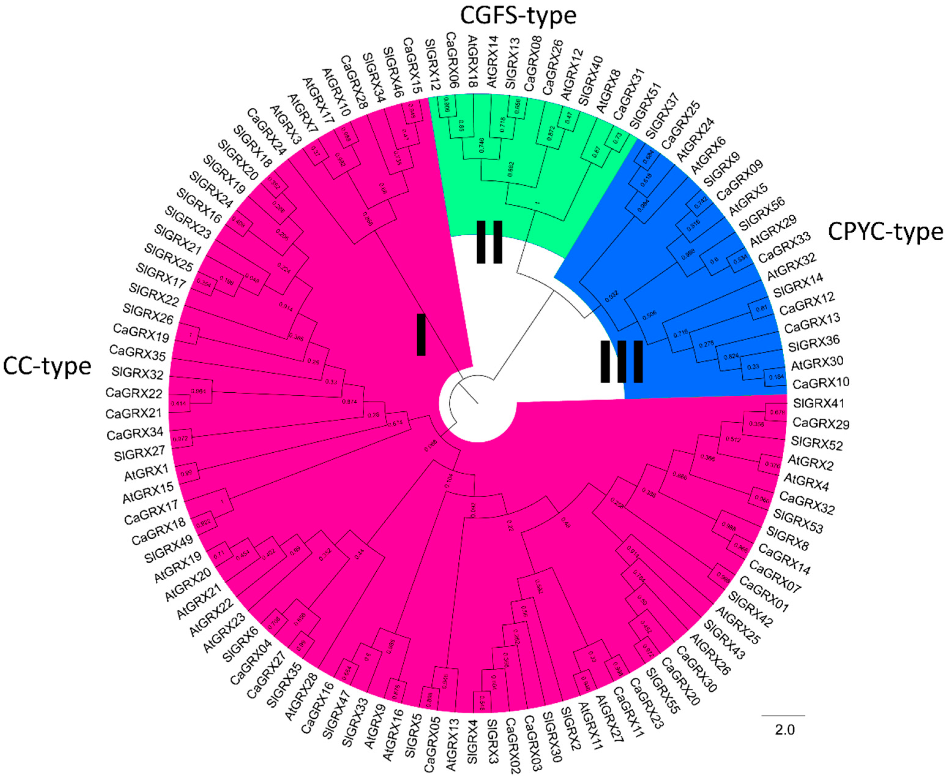 Biology 14 01106 g001 Biology 14 01106 g001