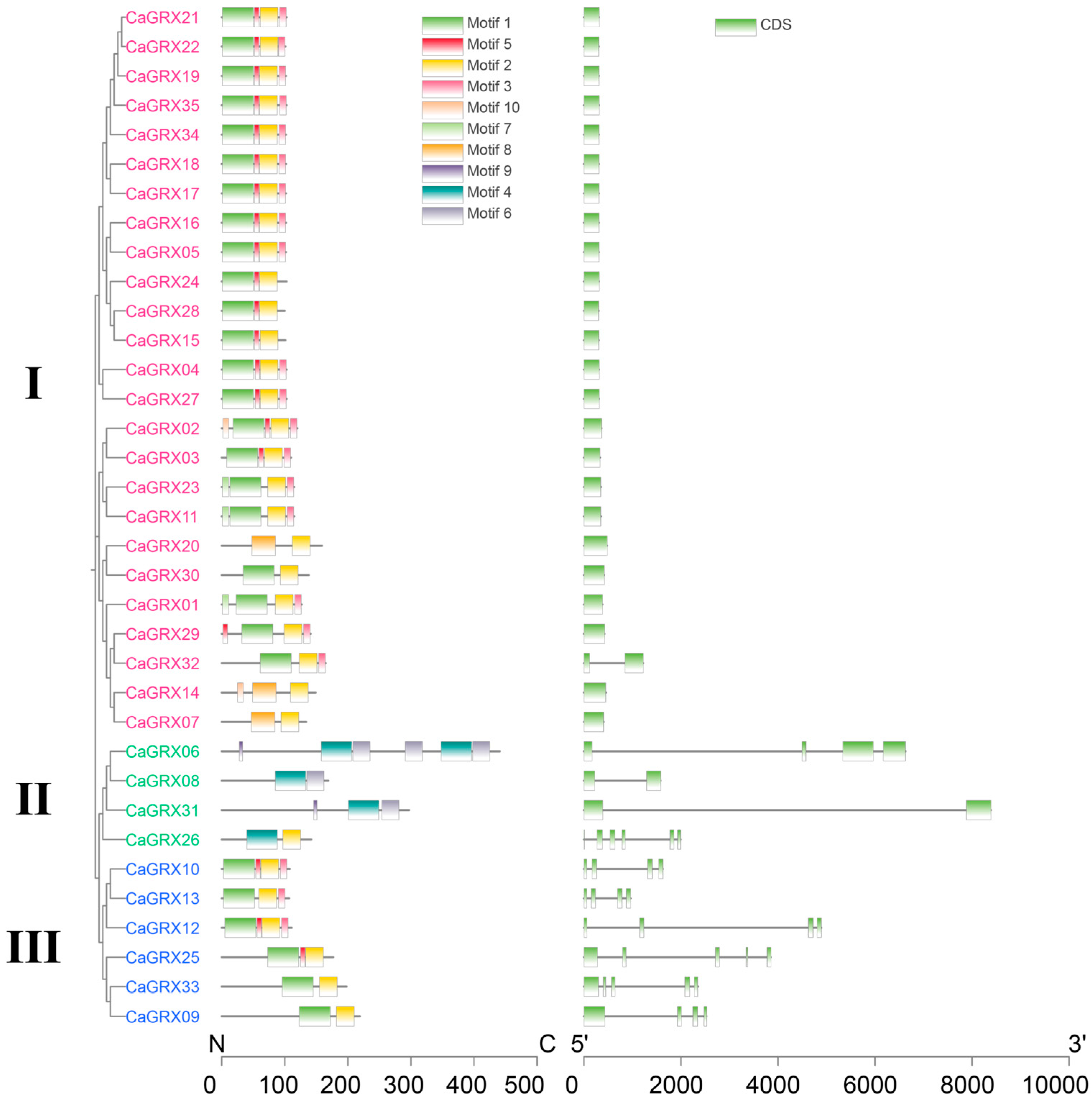 Biology 14 01106 g002 Biology 14 01106 g002
