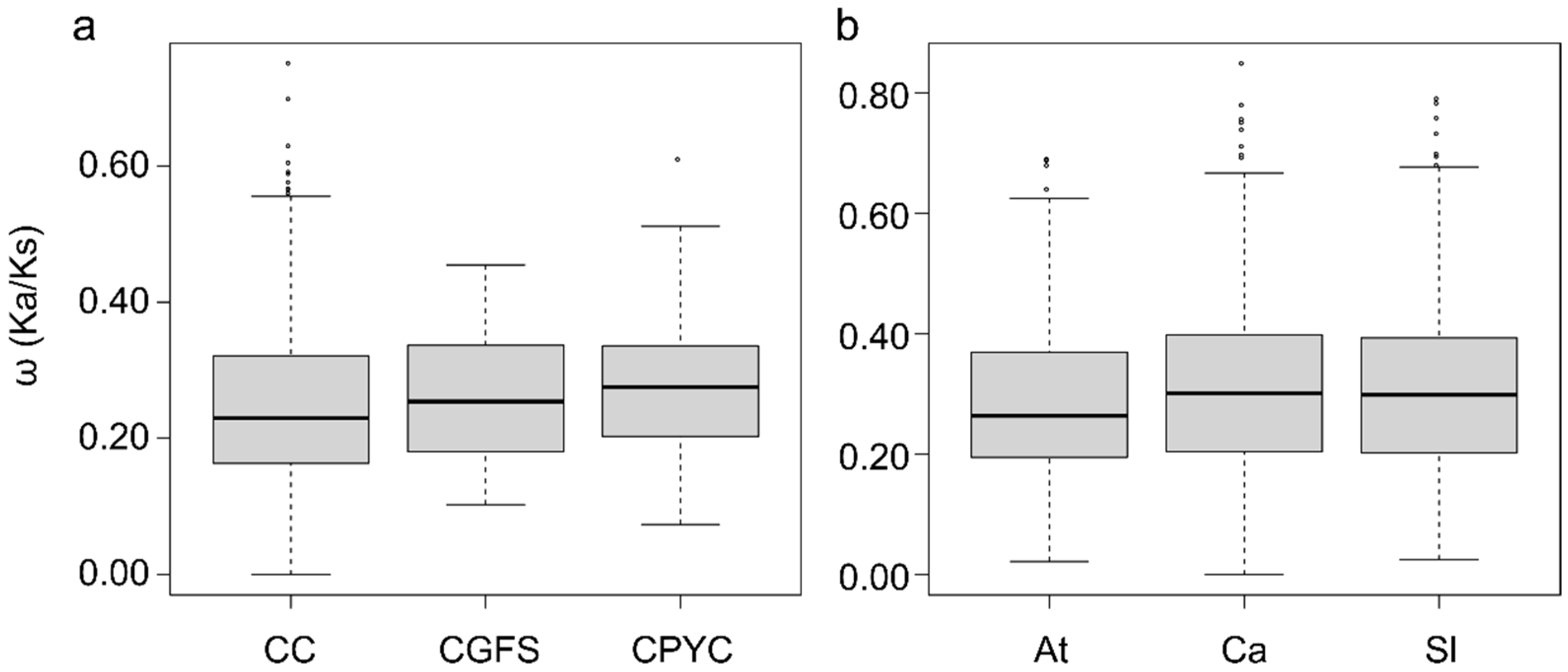 Biology 14 01106 g004 Biology 14 01106 g004
