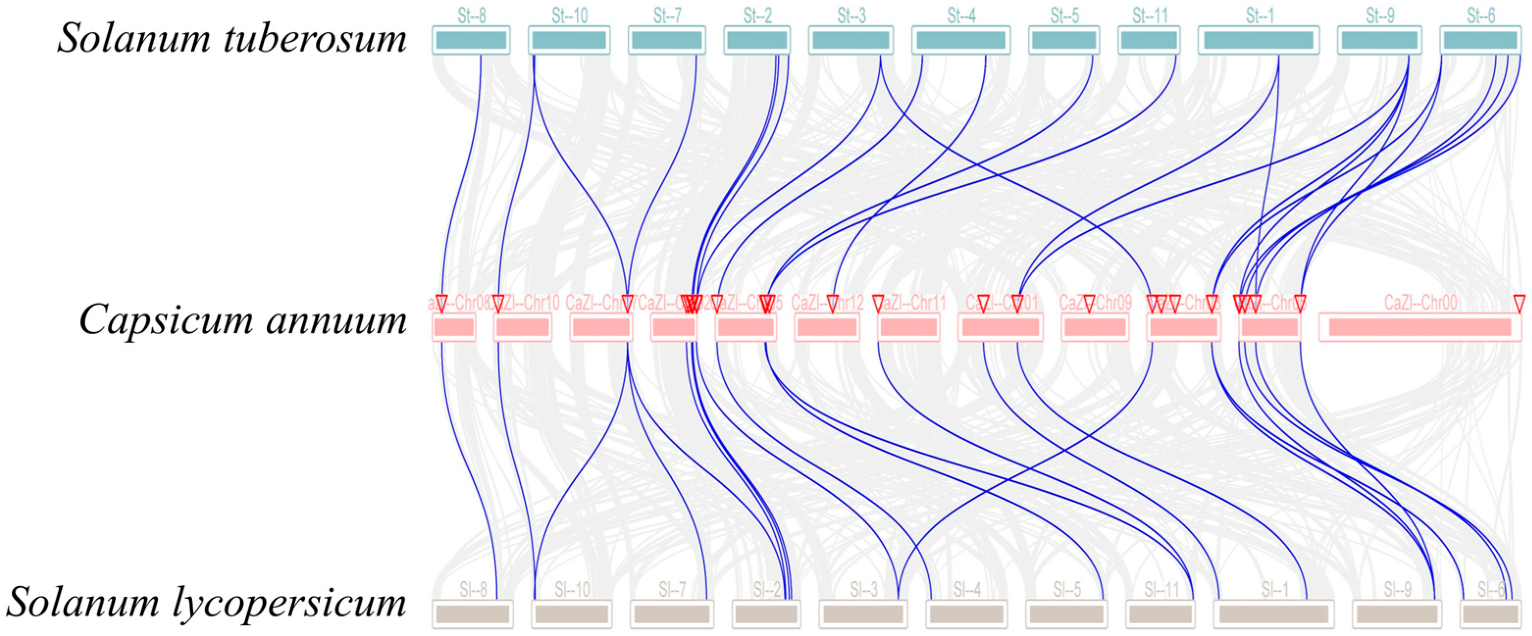 Biology 14 01106 g005 Biology 14 01106 g005