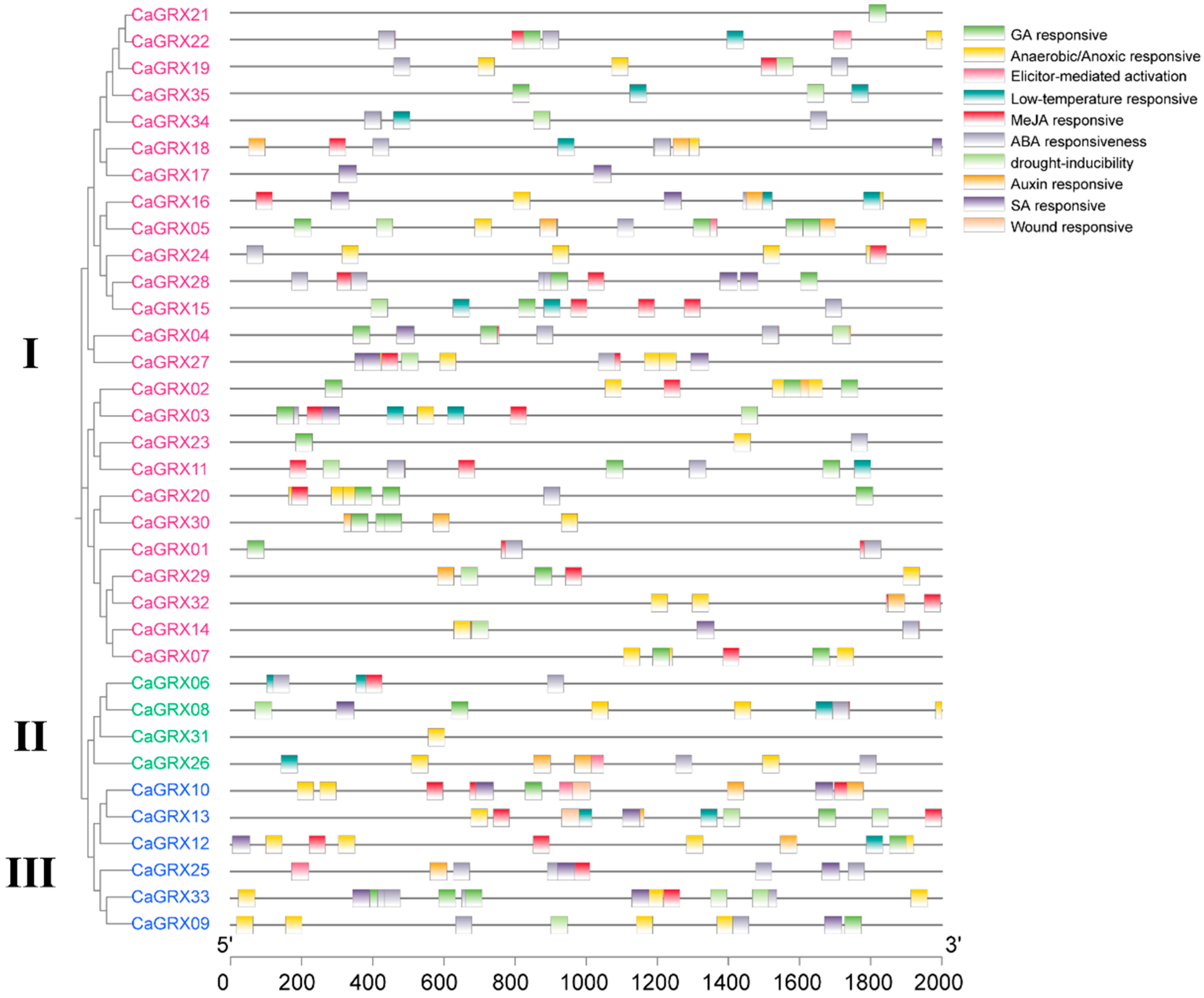 Biology 14 01106 g006 Biology 14 01106 g006