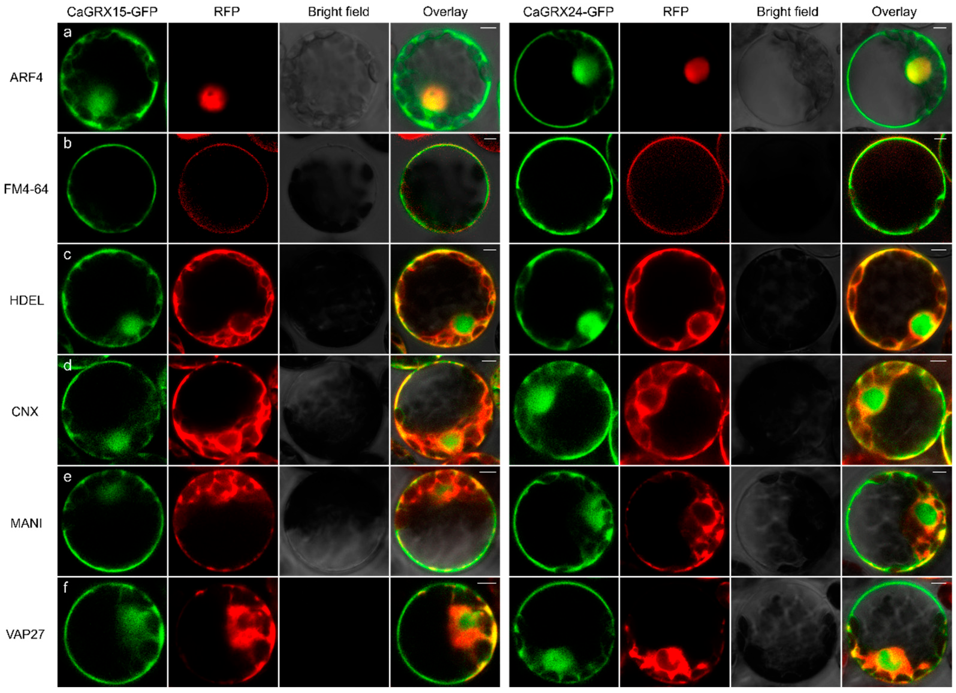 Biology 14 01106 g009 Biology 14 01106 g009