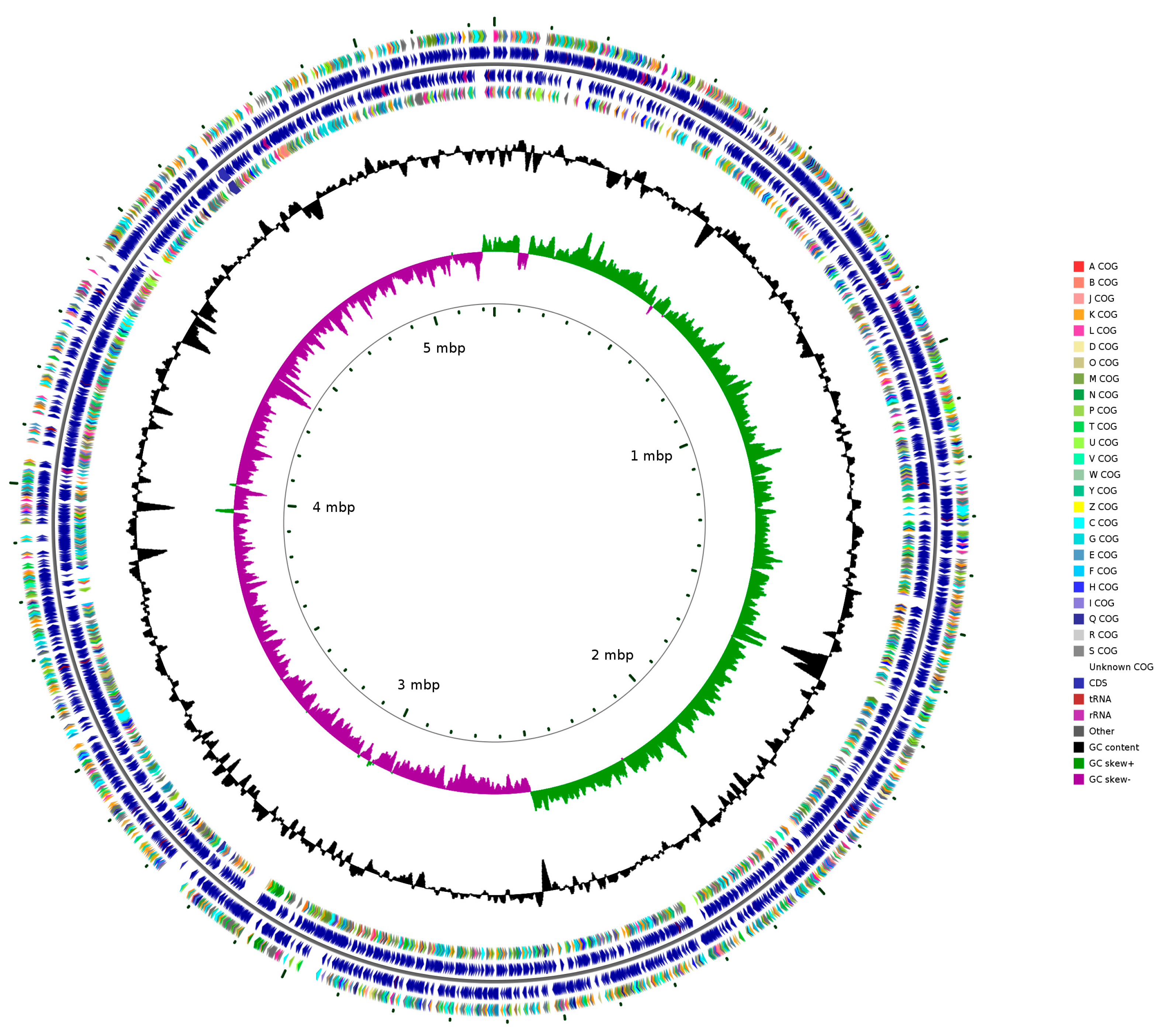 Biology 14 01107 g004 Biology 14 01107 g004