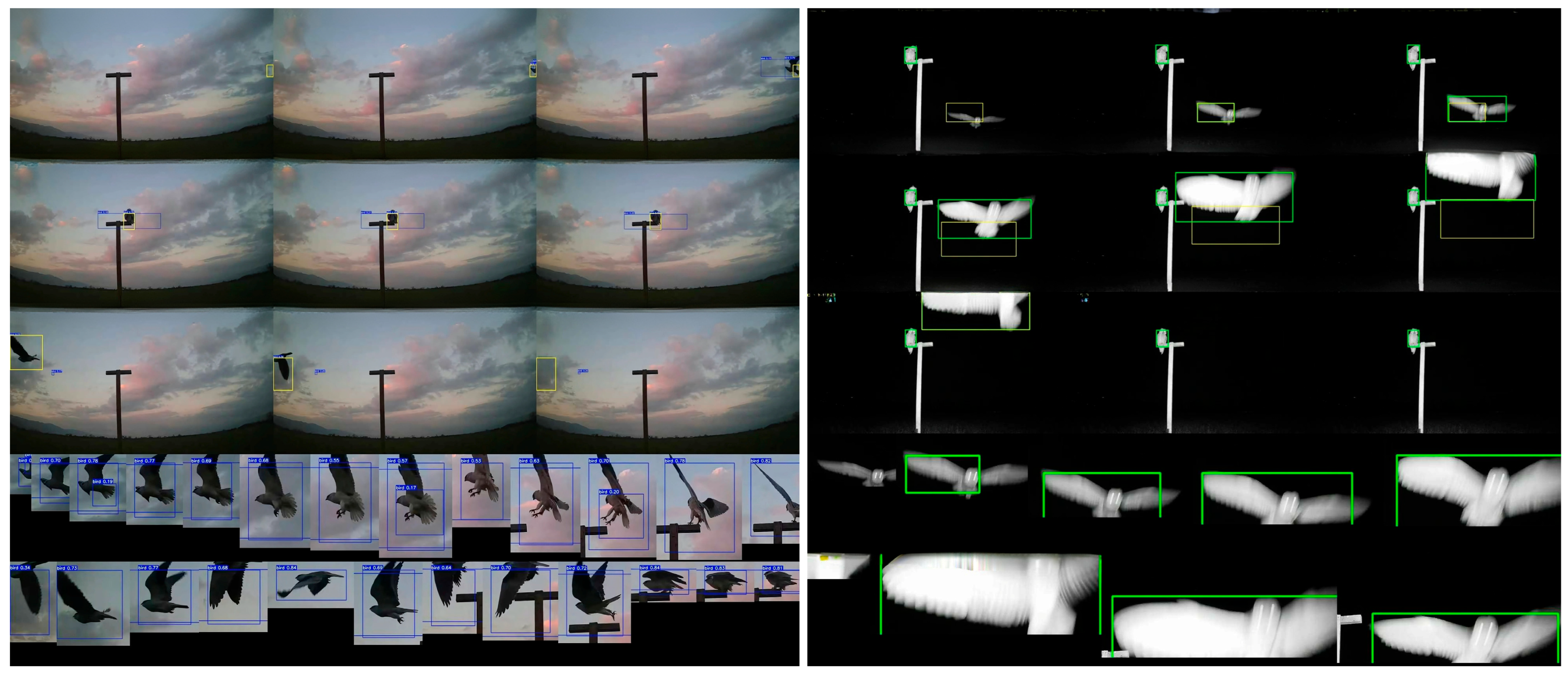 Biology 14 01108 g001