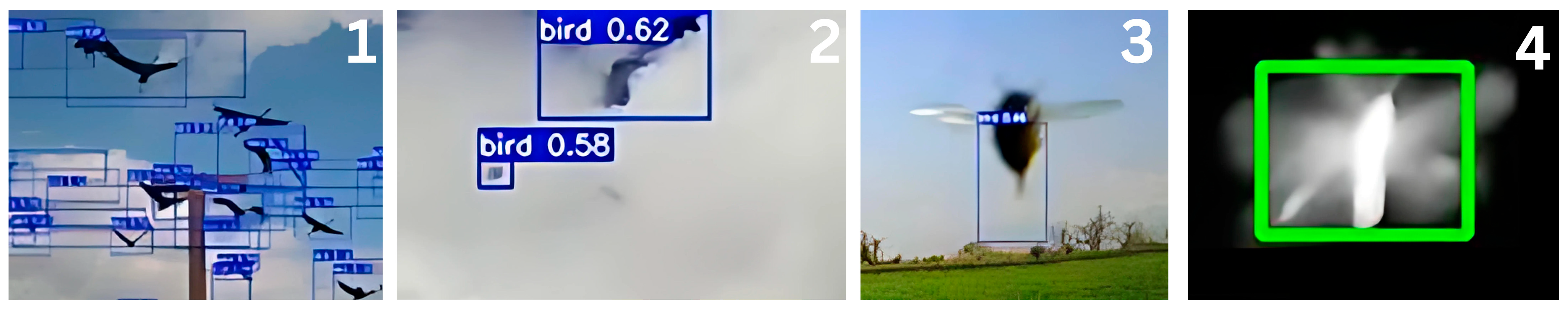 Biology 14 01108 g004