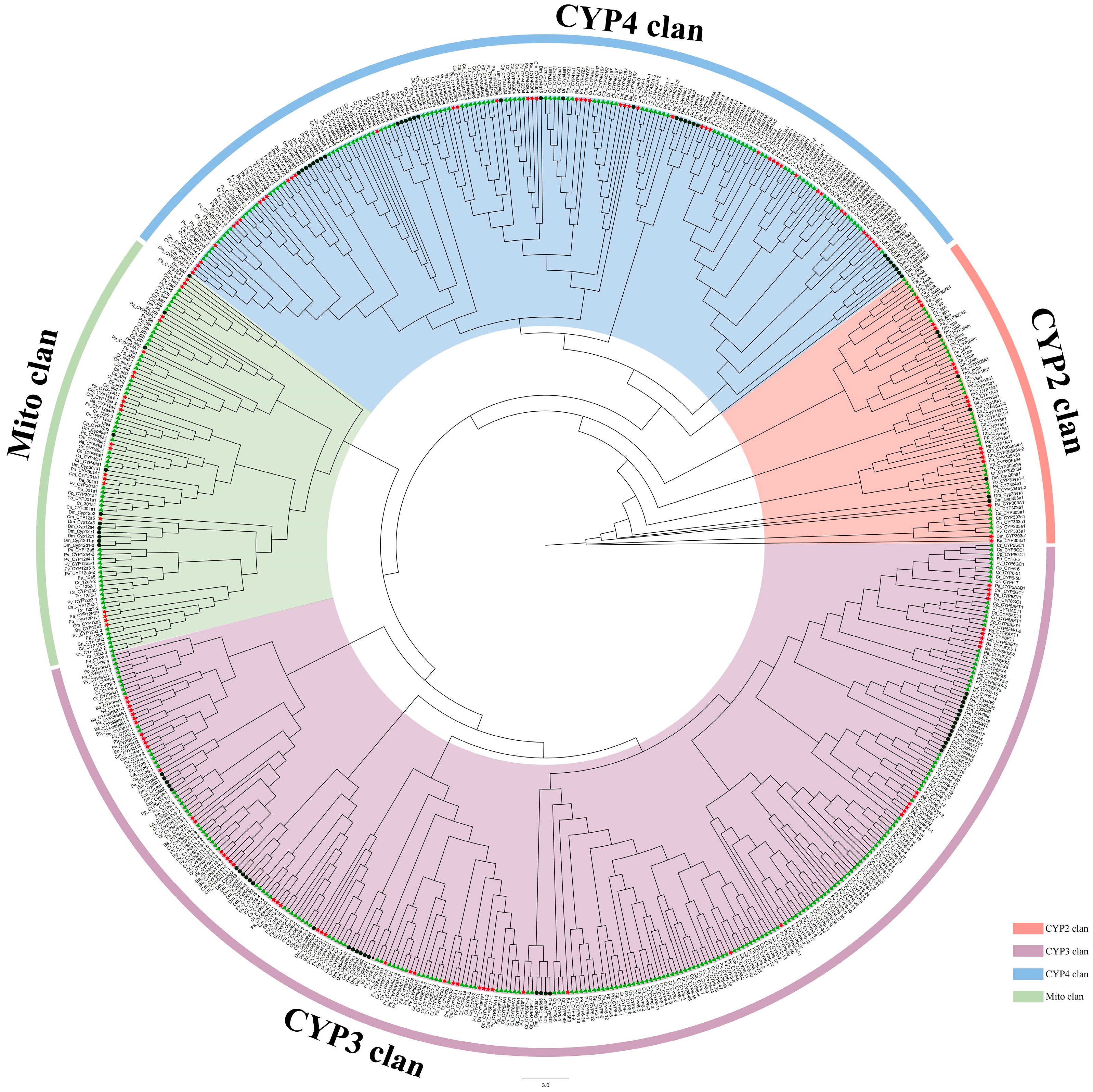Biology 14 01111 g001