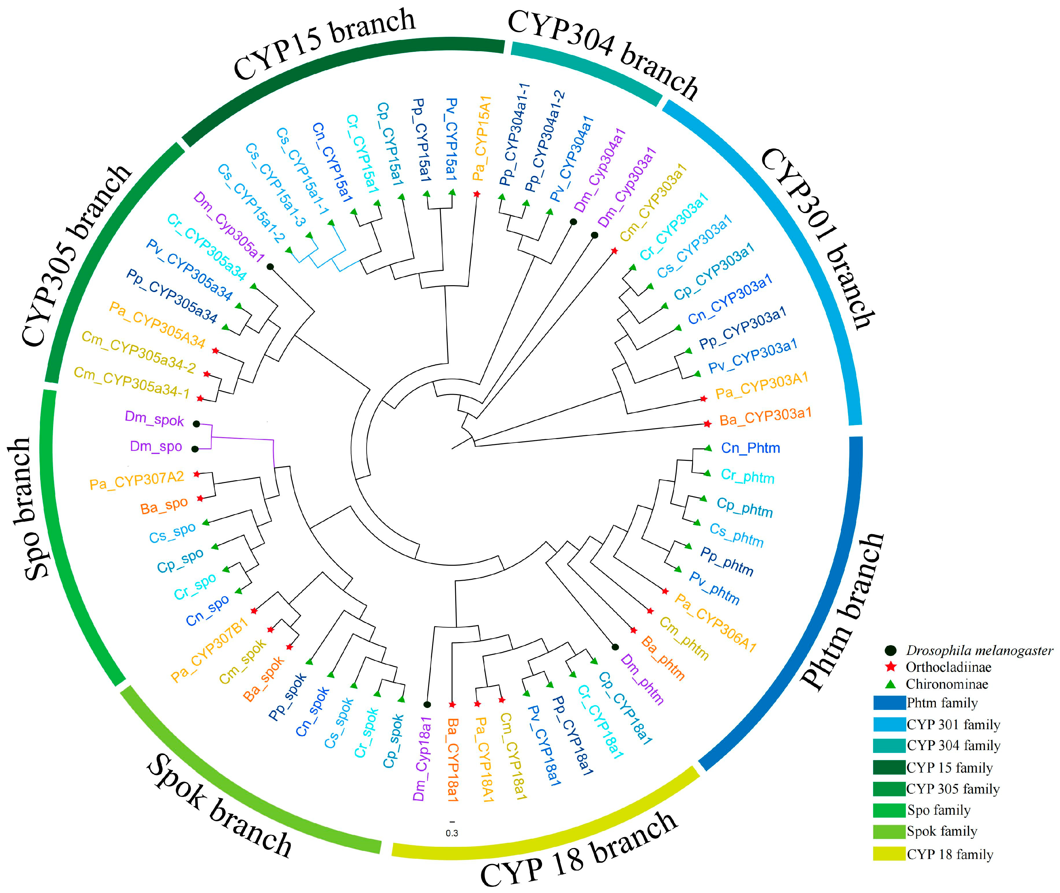 Biology 14 01111 g003