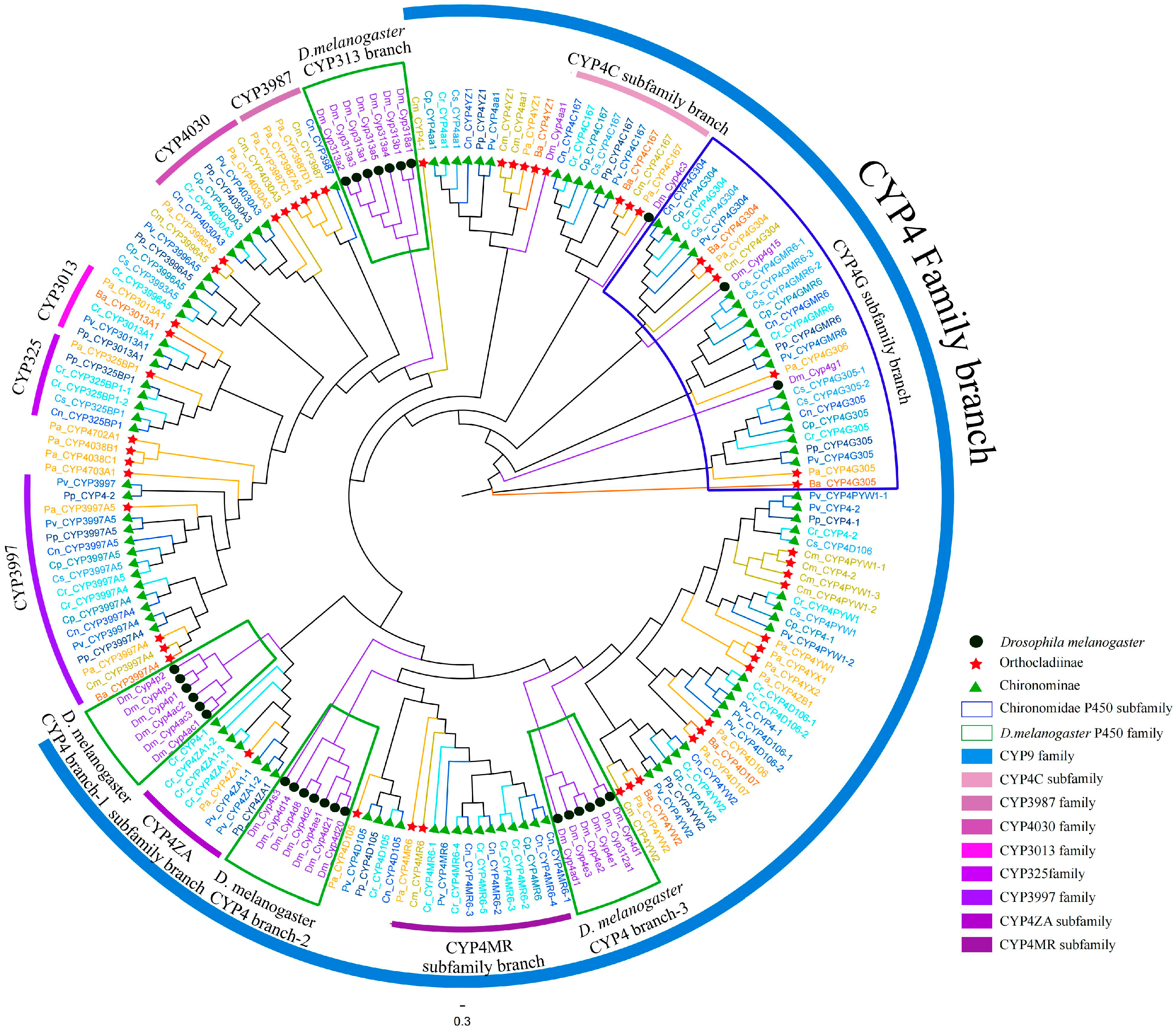 Biology 14 01111 g005