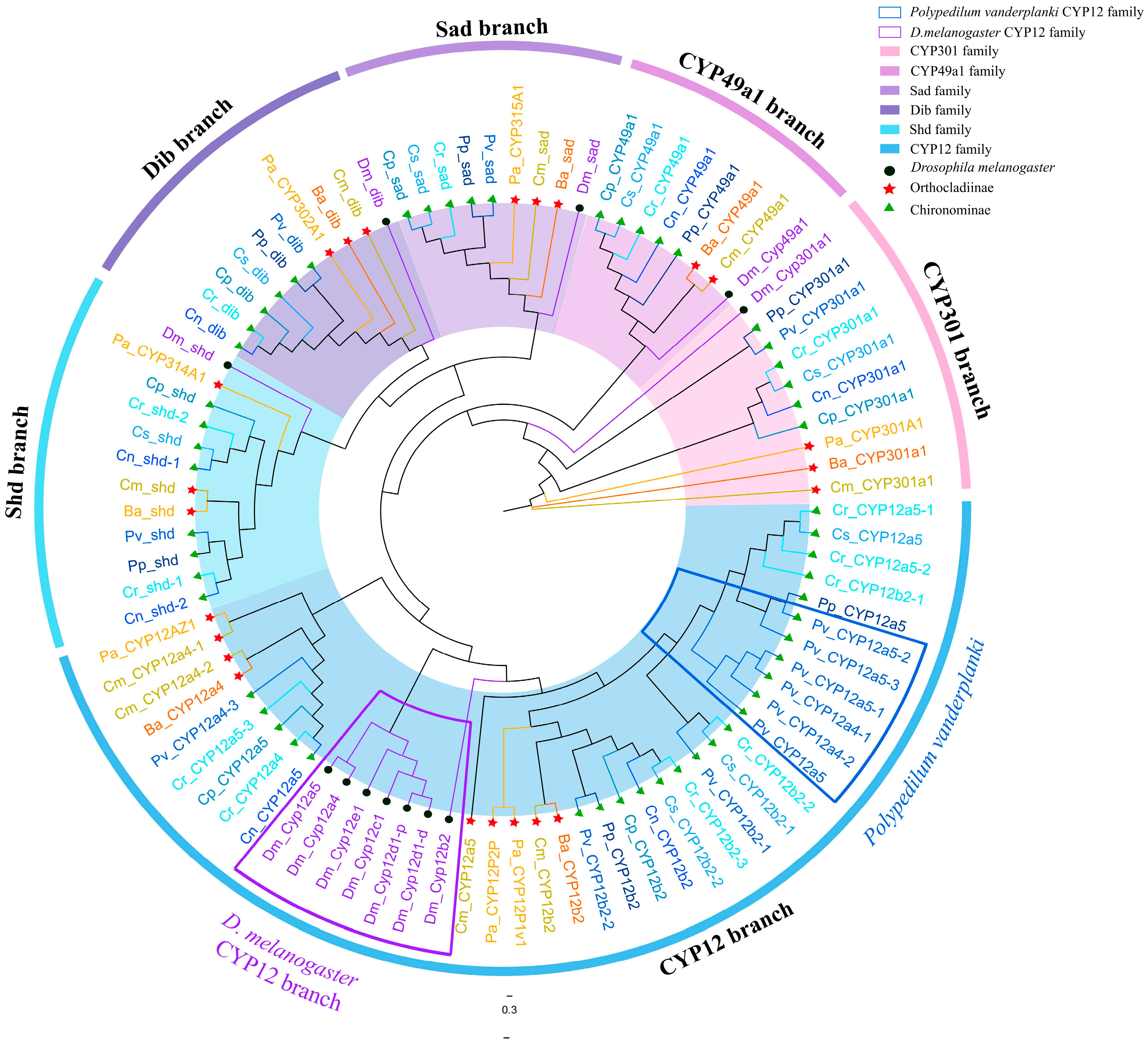 Biology 14 01111 g006