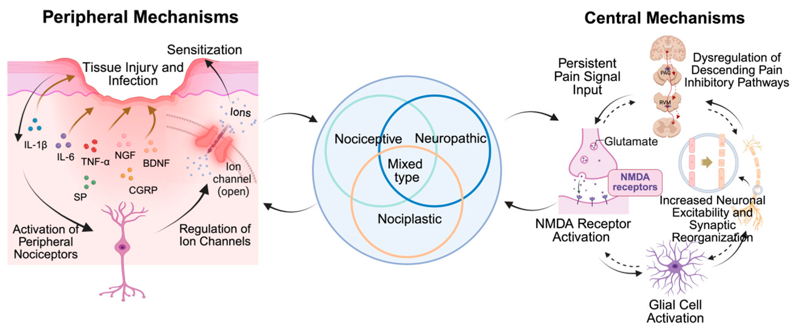 Biology 14 01116 g002 Biology 14 01116 g002