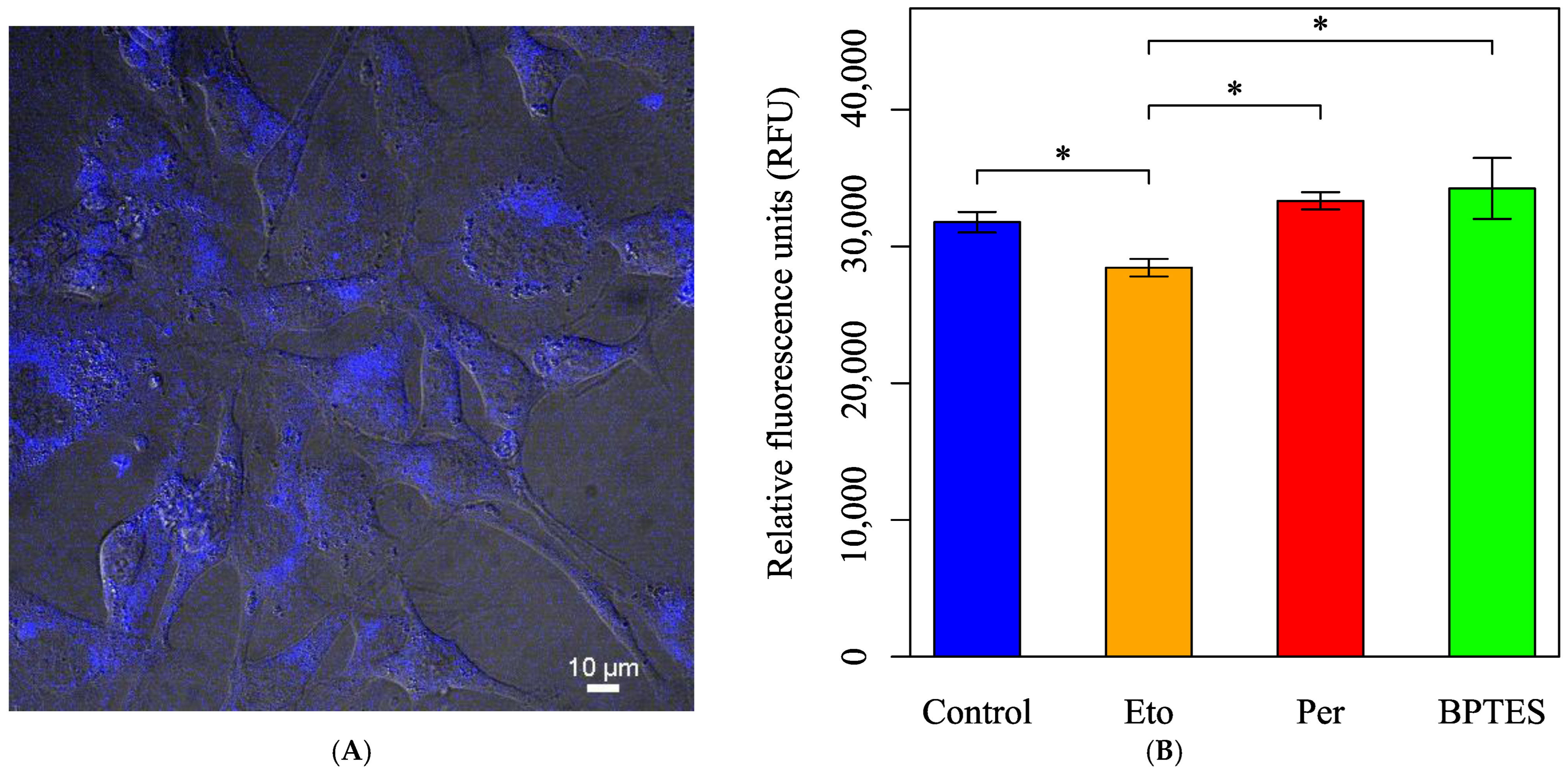 Biology 14 01118 g009
