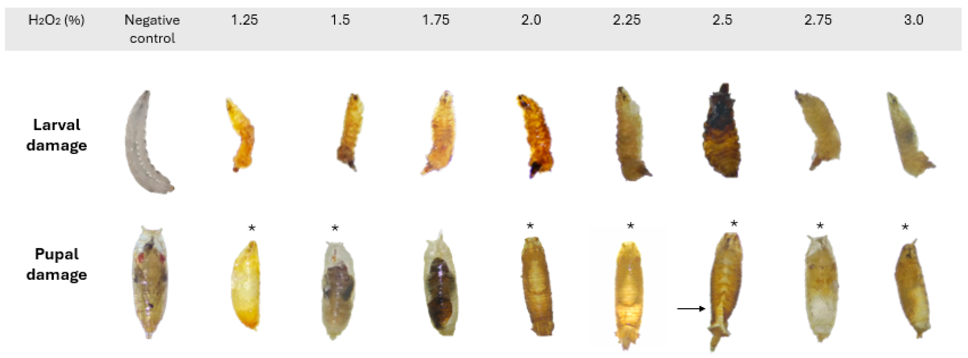 Biology 14 01122 g003