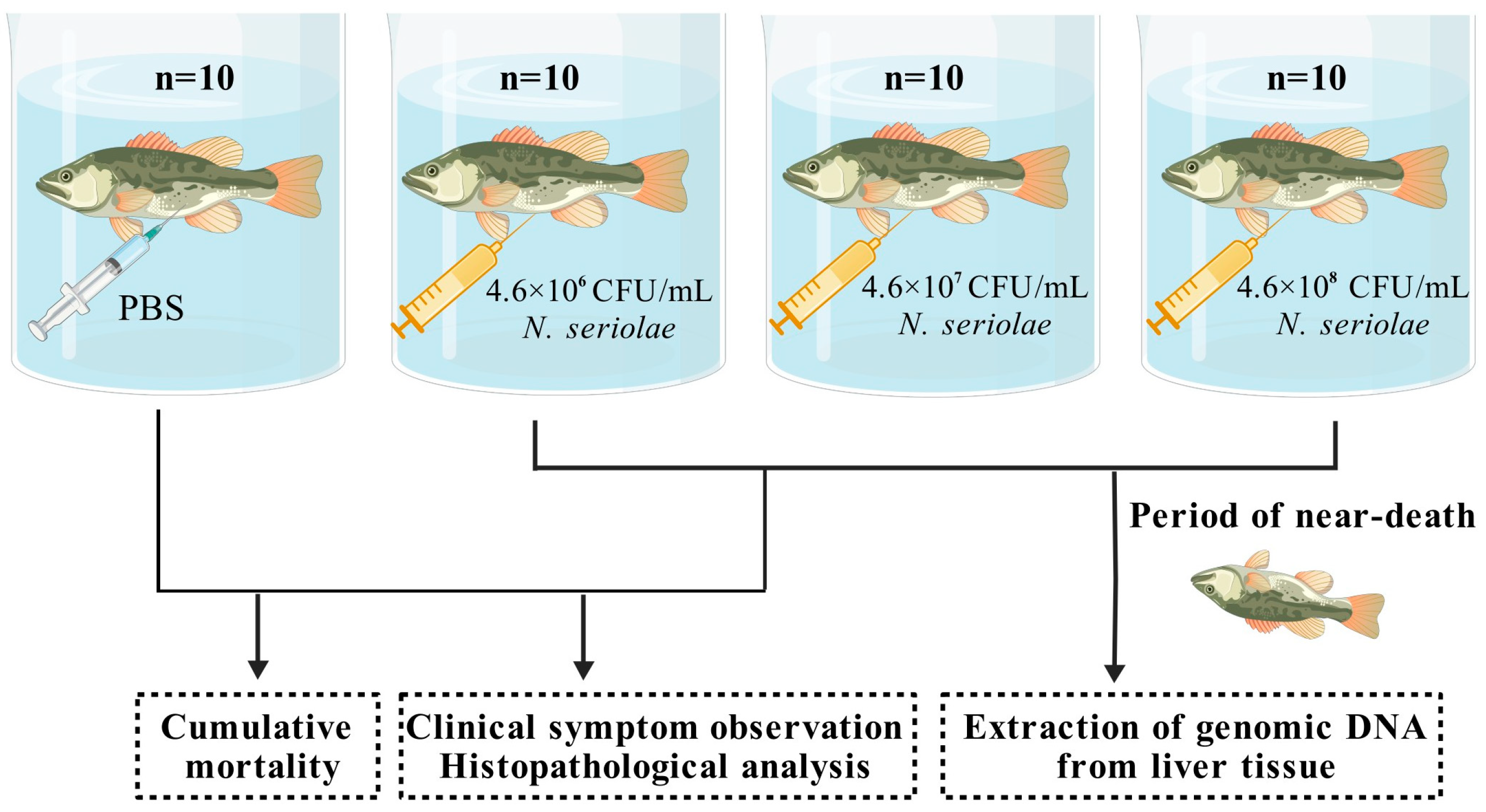 Biology 14 01128 g001