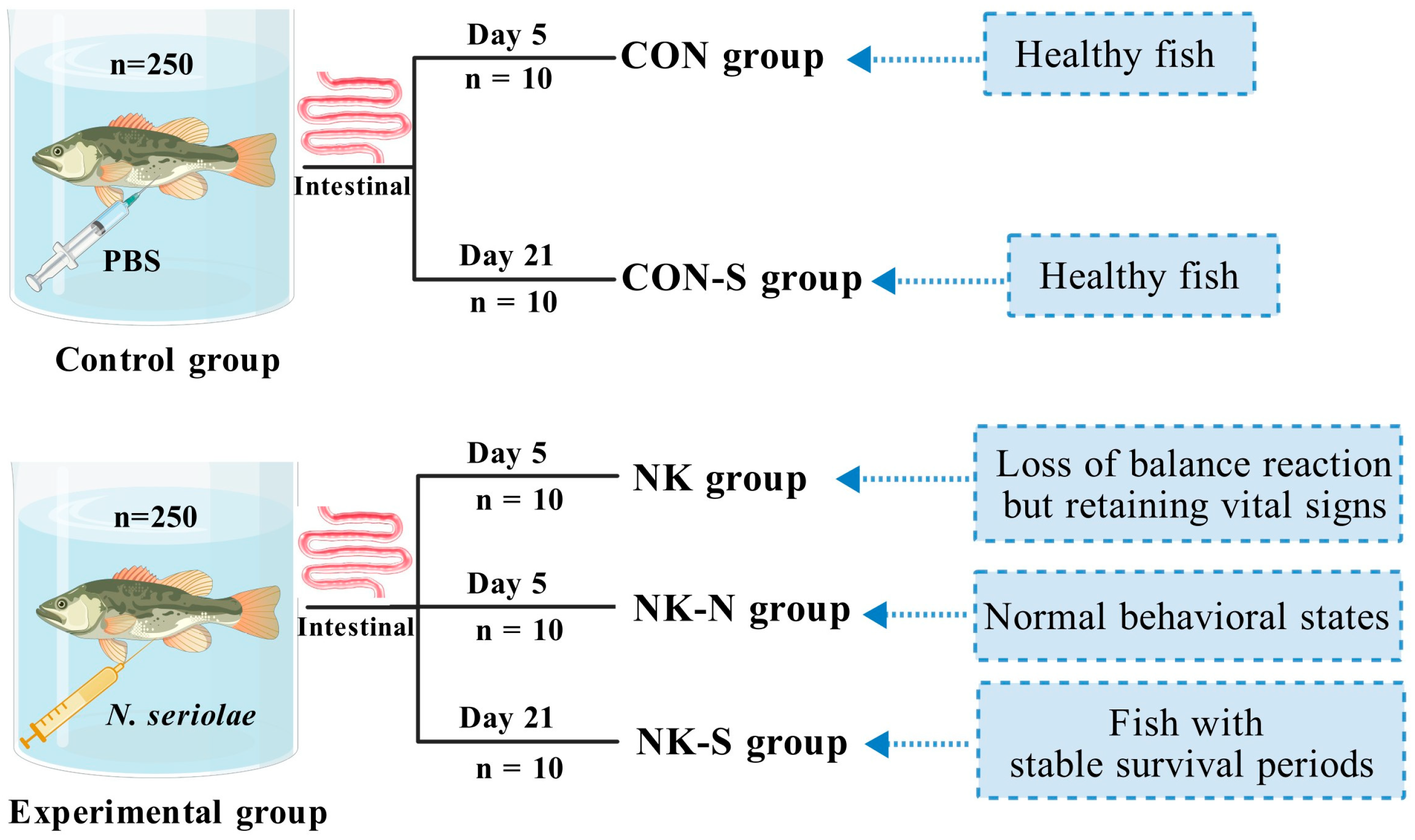 Biology 14 01128 g002