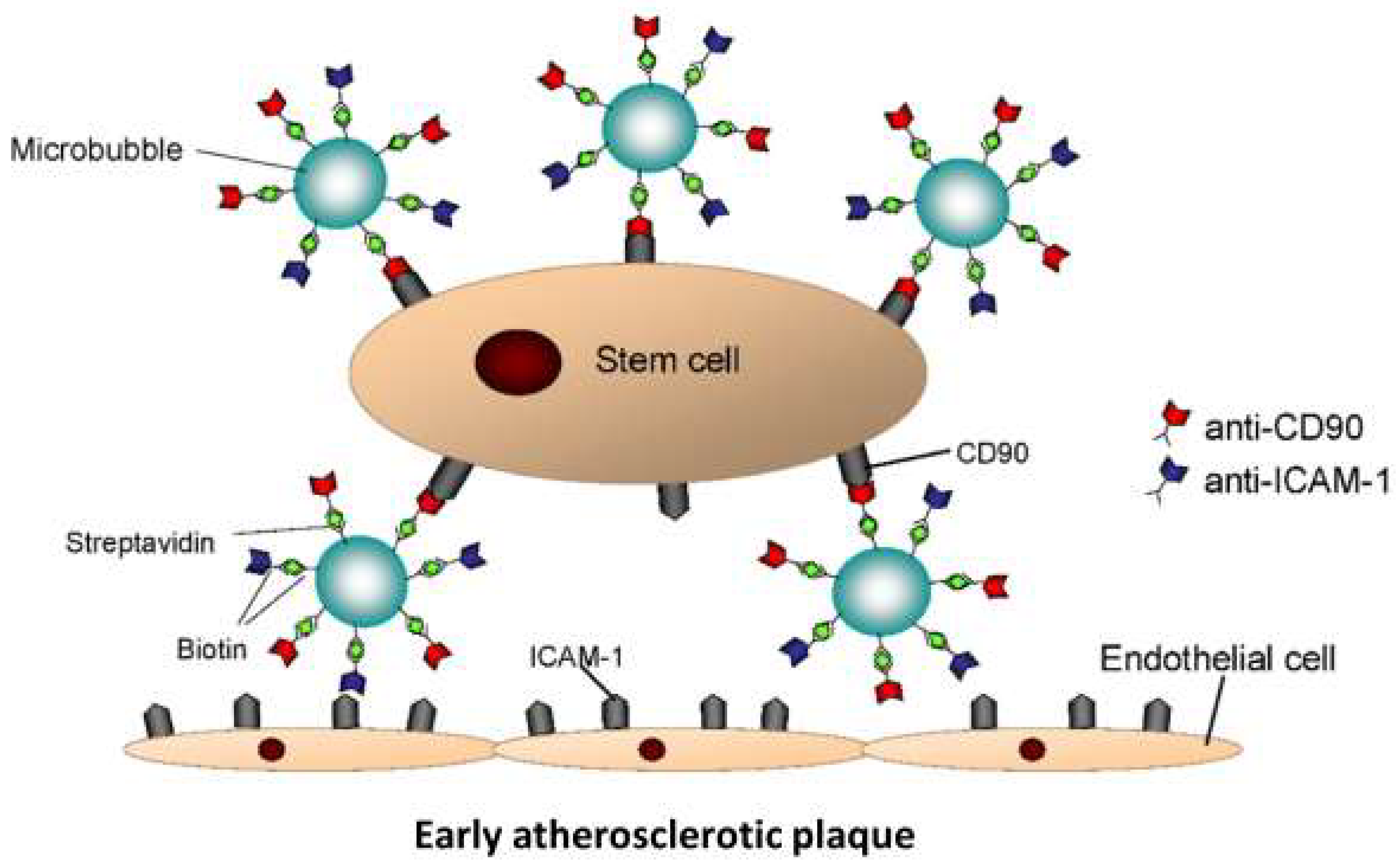 Biology 14 01130 g001 Biology 14 01130 g001