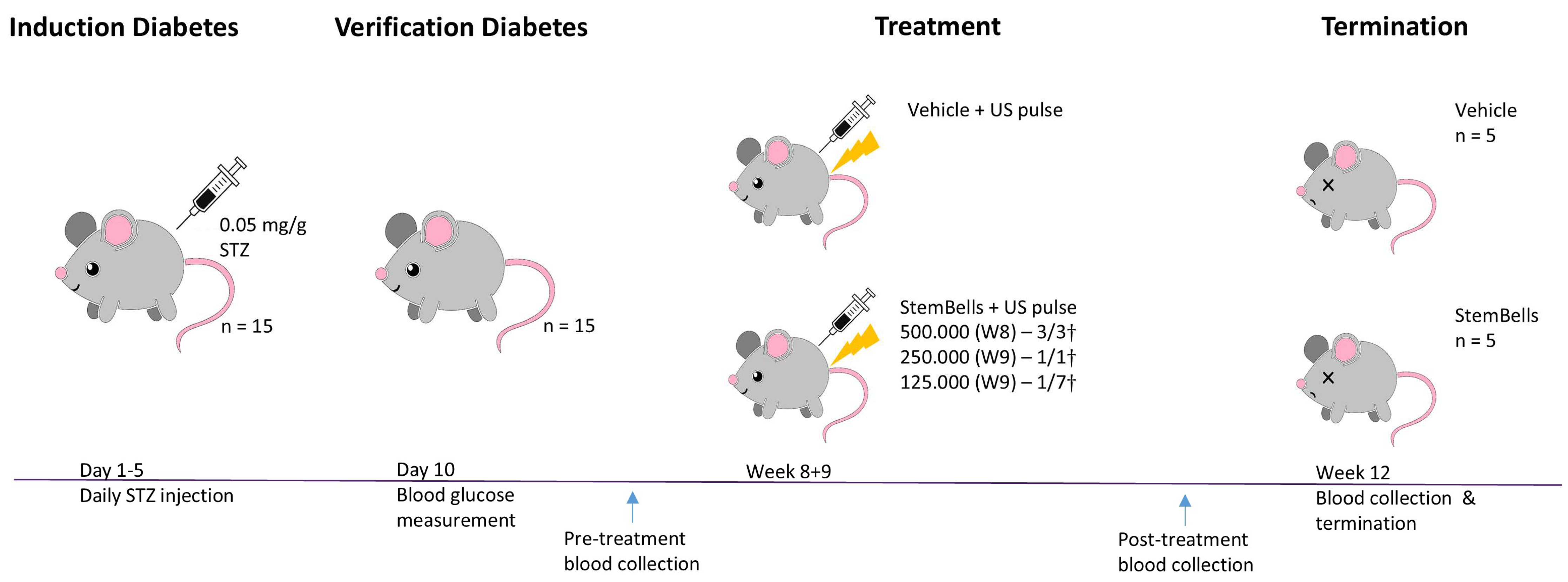 Biology 14 01130 g002 Biology 14 01130 g002