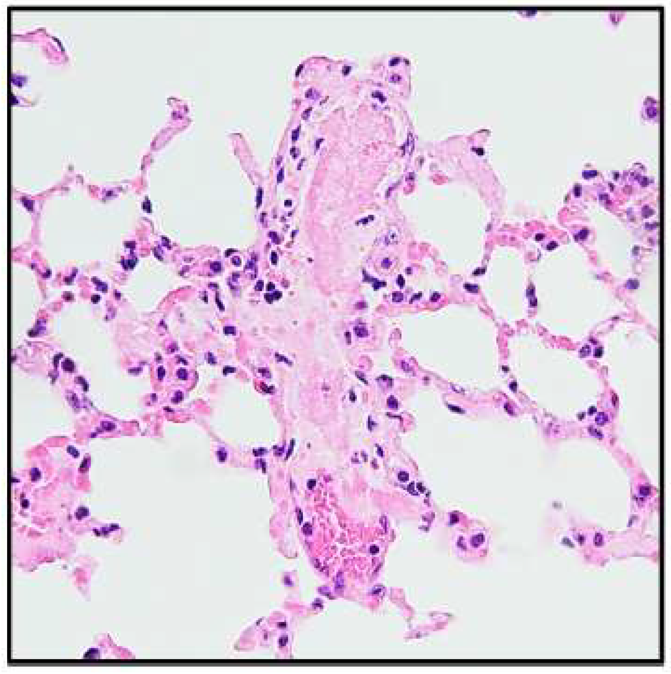 Biology 14 01130 g003 Biology 14 01130 g003