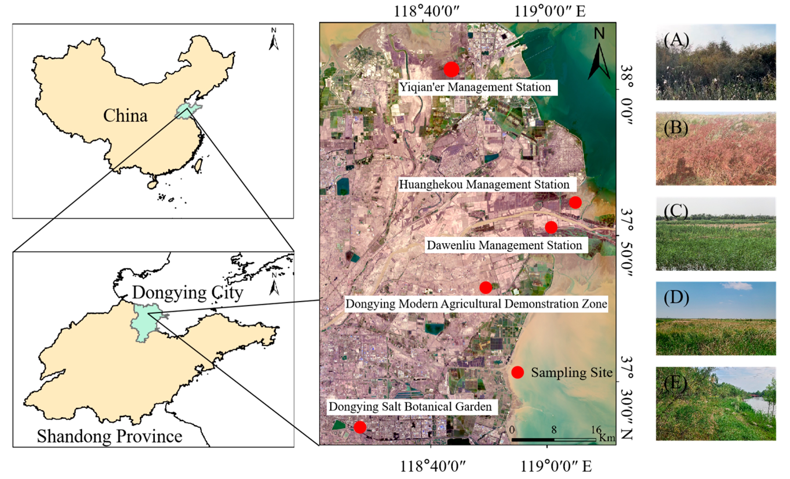 Biology 14 01132 g001 Biology 14 01132 g001