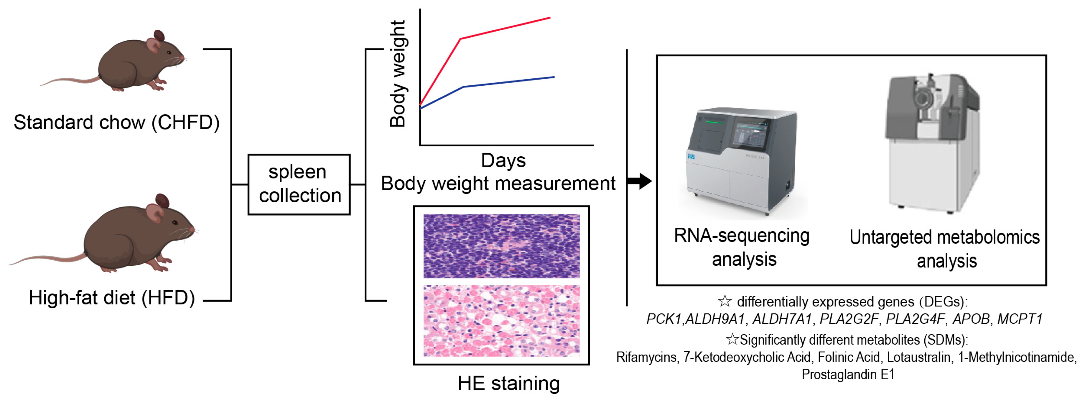 Biology 14 01136 g001