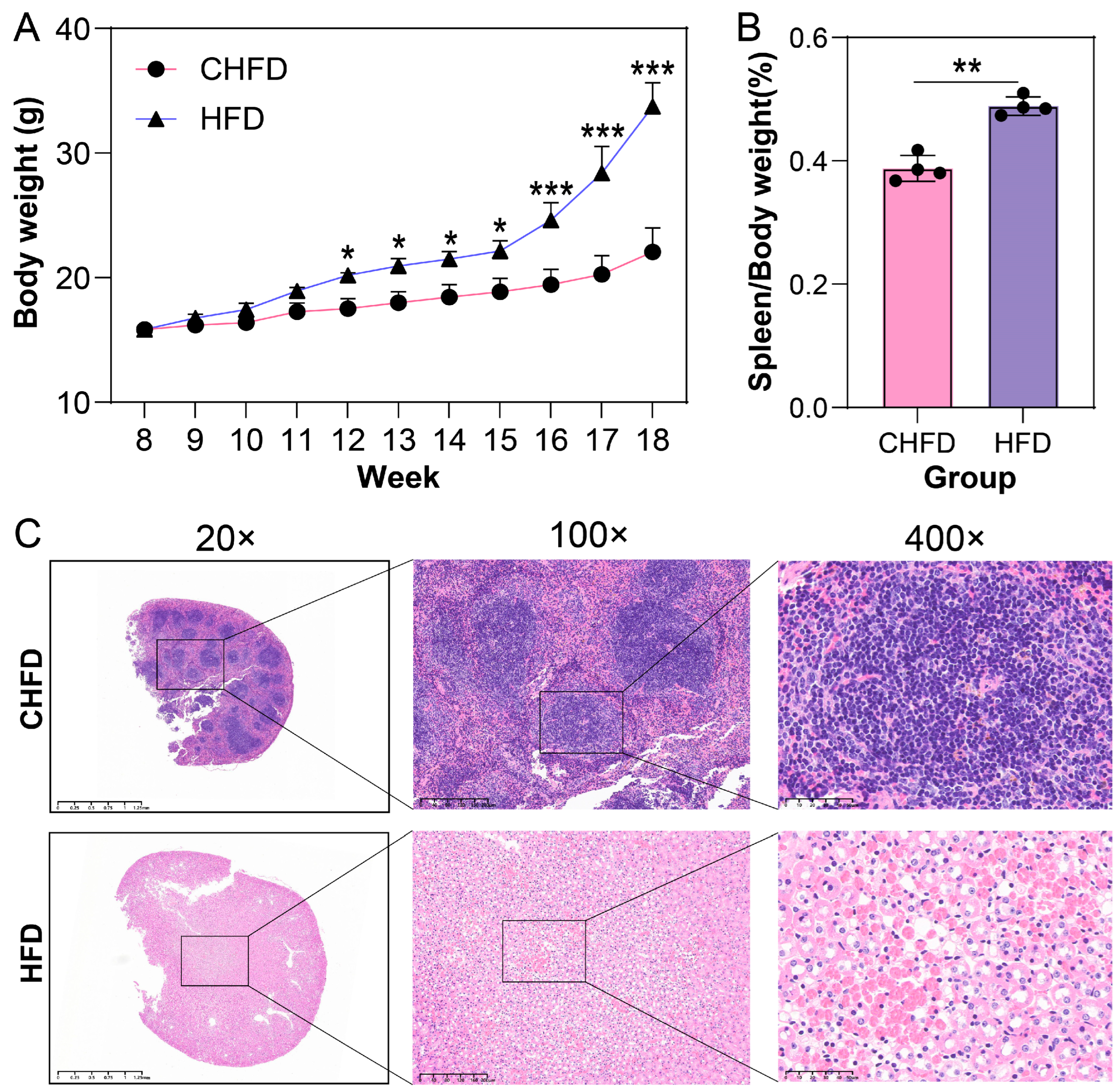 Biology 14 01136 g002