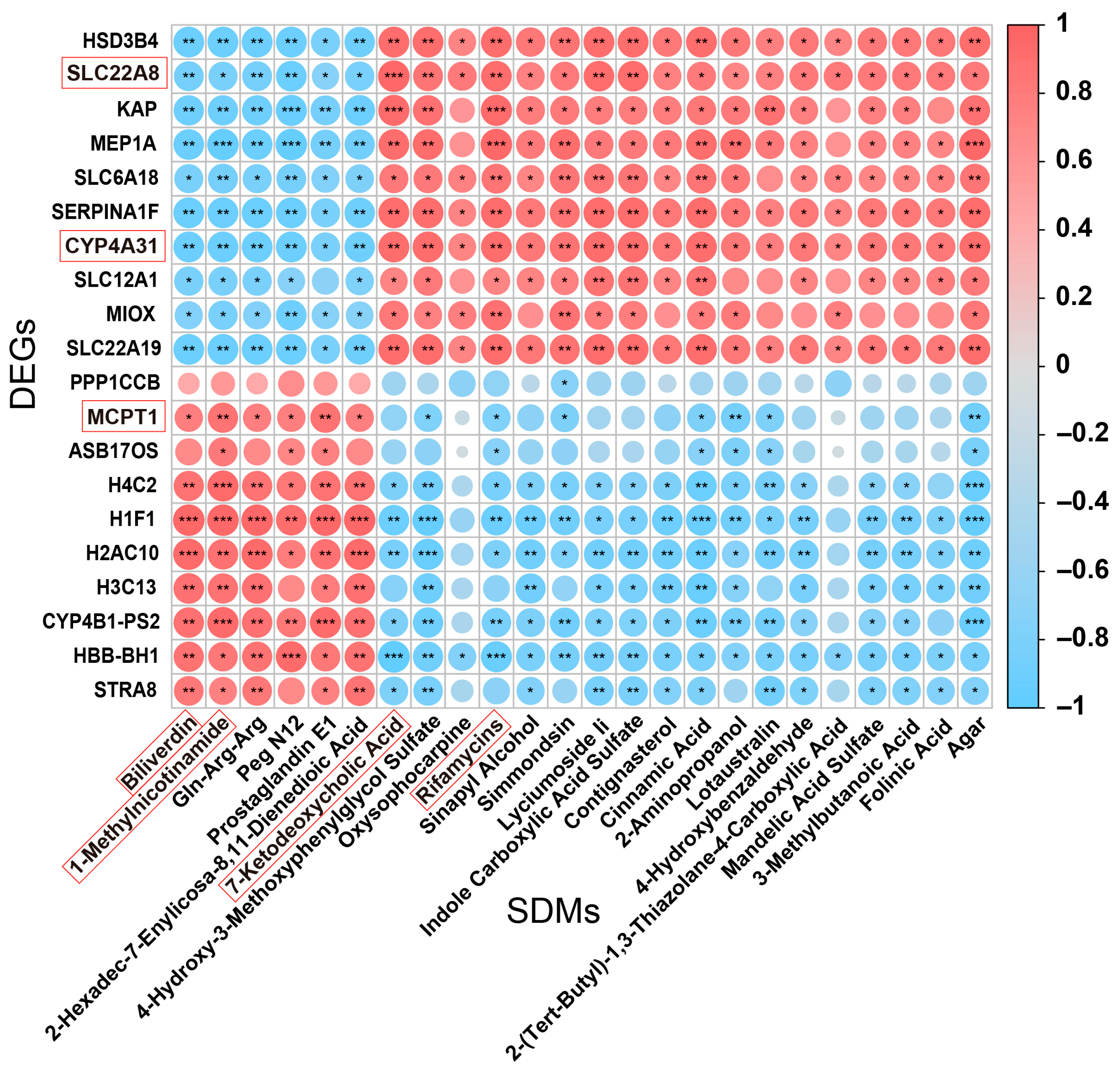 Biology 14 01136 g007