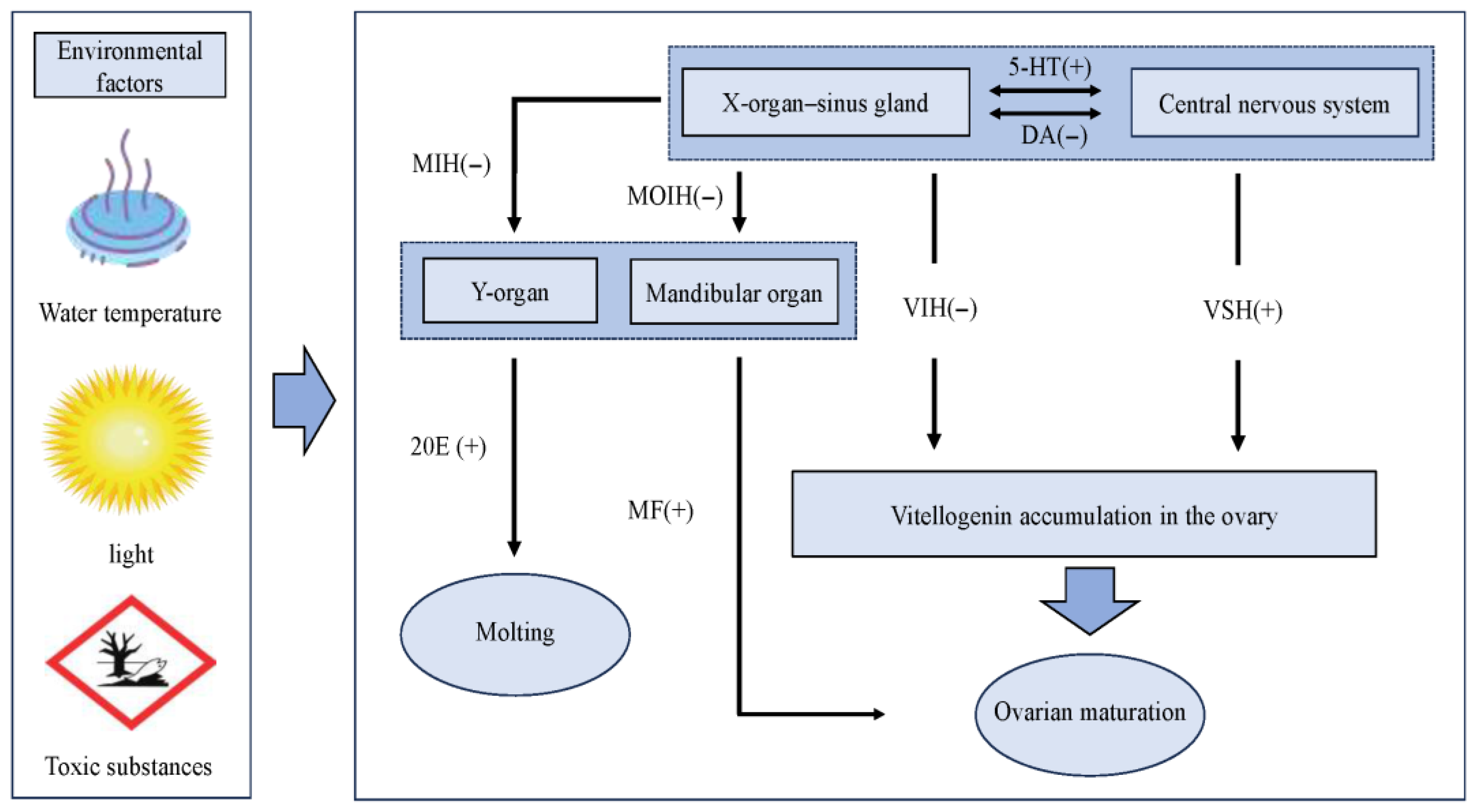 Biology 14 01138 g002 Biology 14 01138 g002
