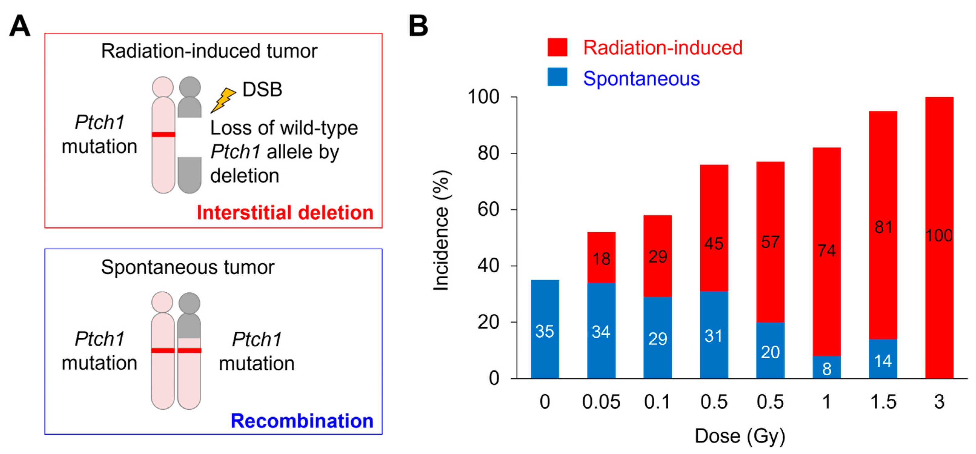 Biology 14 01142 g001