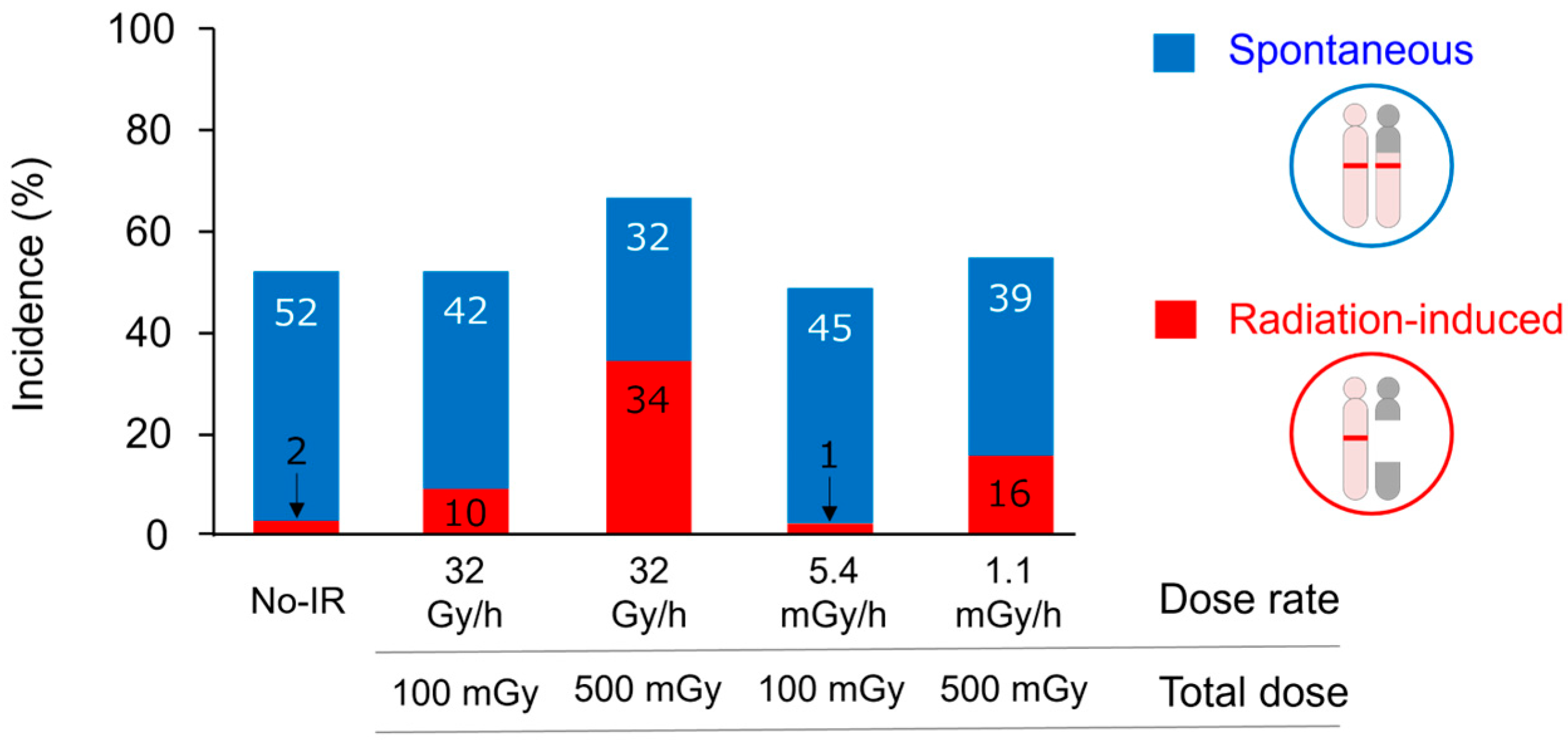 Biology 14 01142 g002